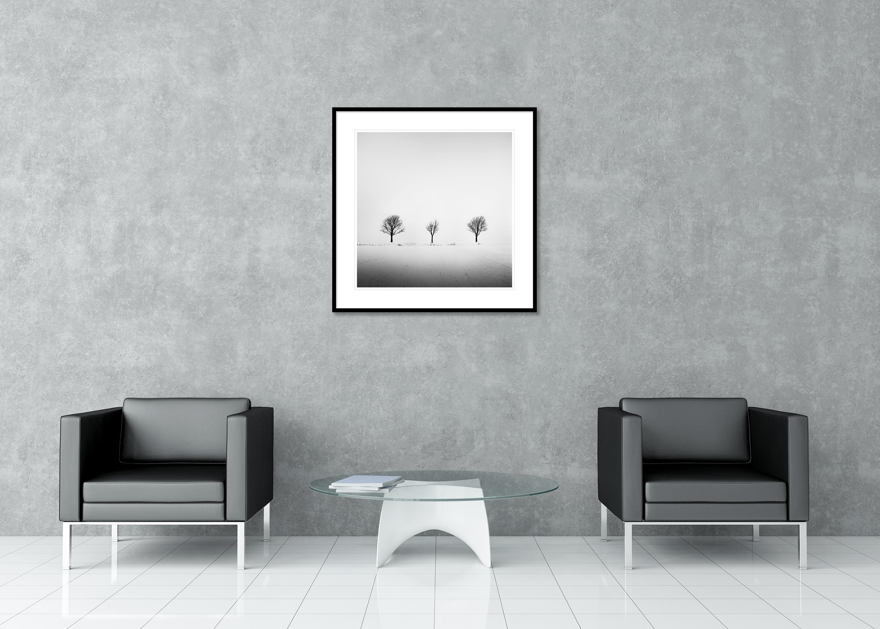 Trees in snowy Field, minimale Fotografie, Winterlandschaft, limitierte Auflage im Angebot 2