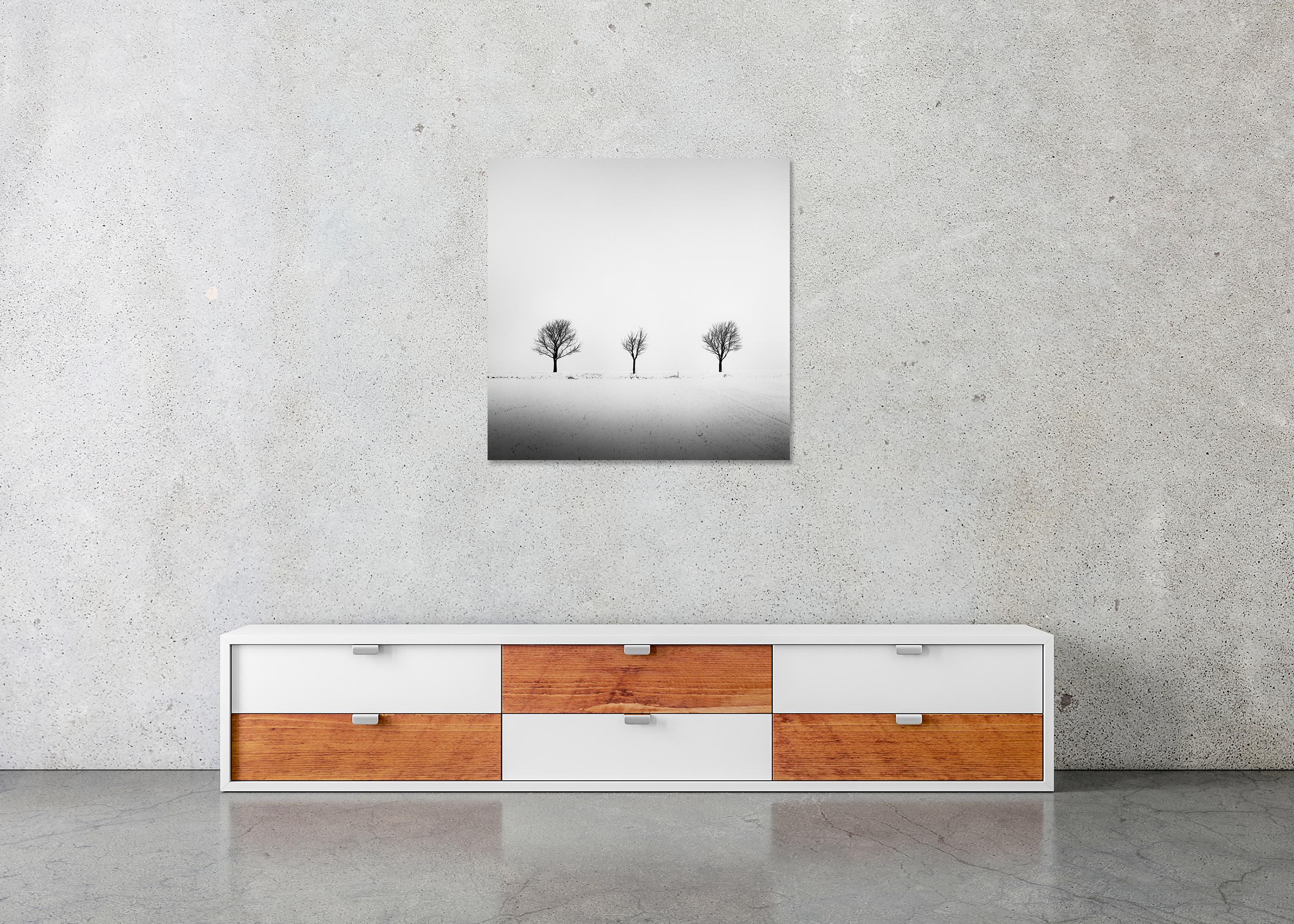 Trees in snowy Field, minimale Fotografie, Winterlandschaft, limitierte Auflage im Angebot 4