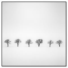 Black and White Winter Landscape Photography – Four Trees in Snowy Field