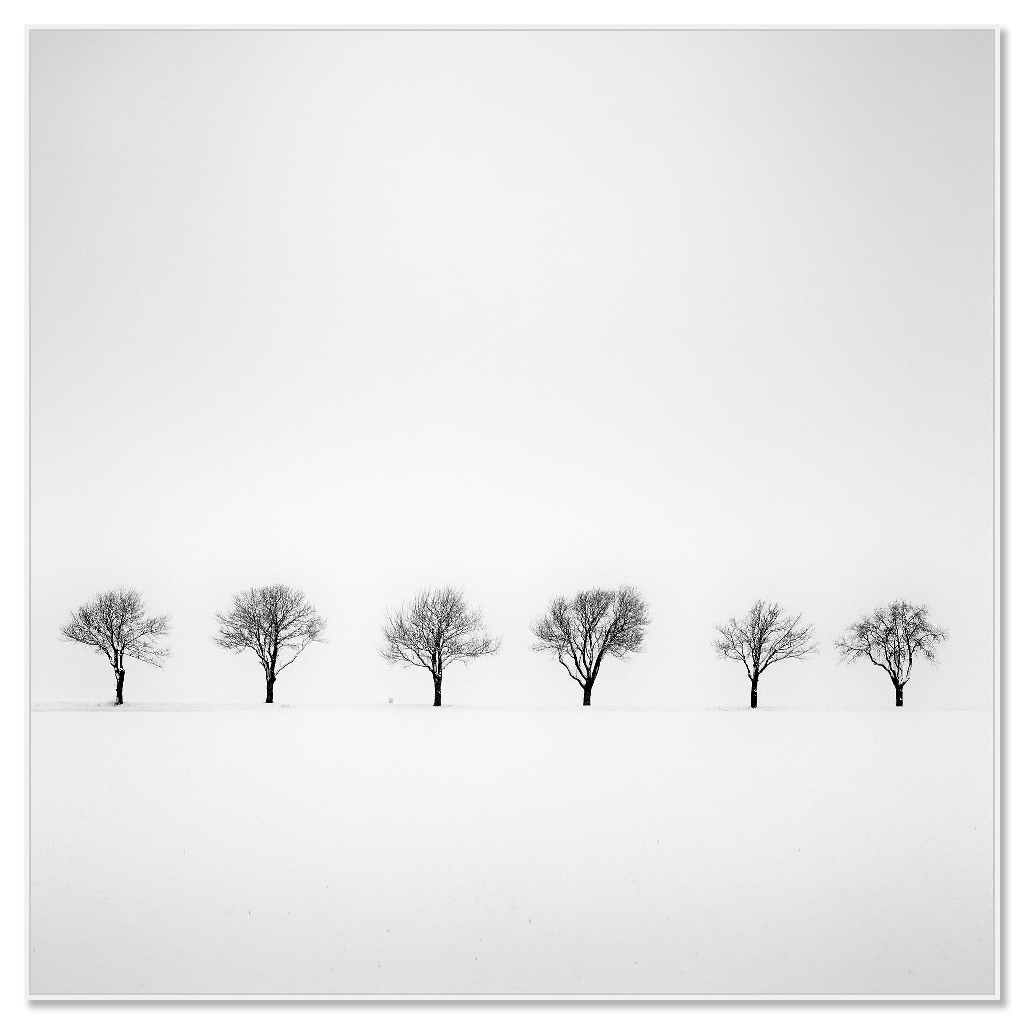 fine art black and white landscape photography