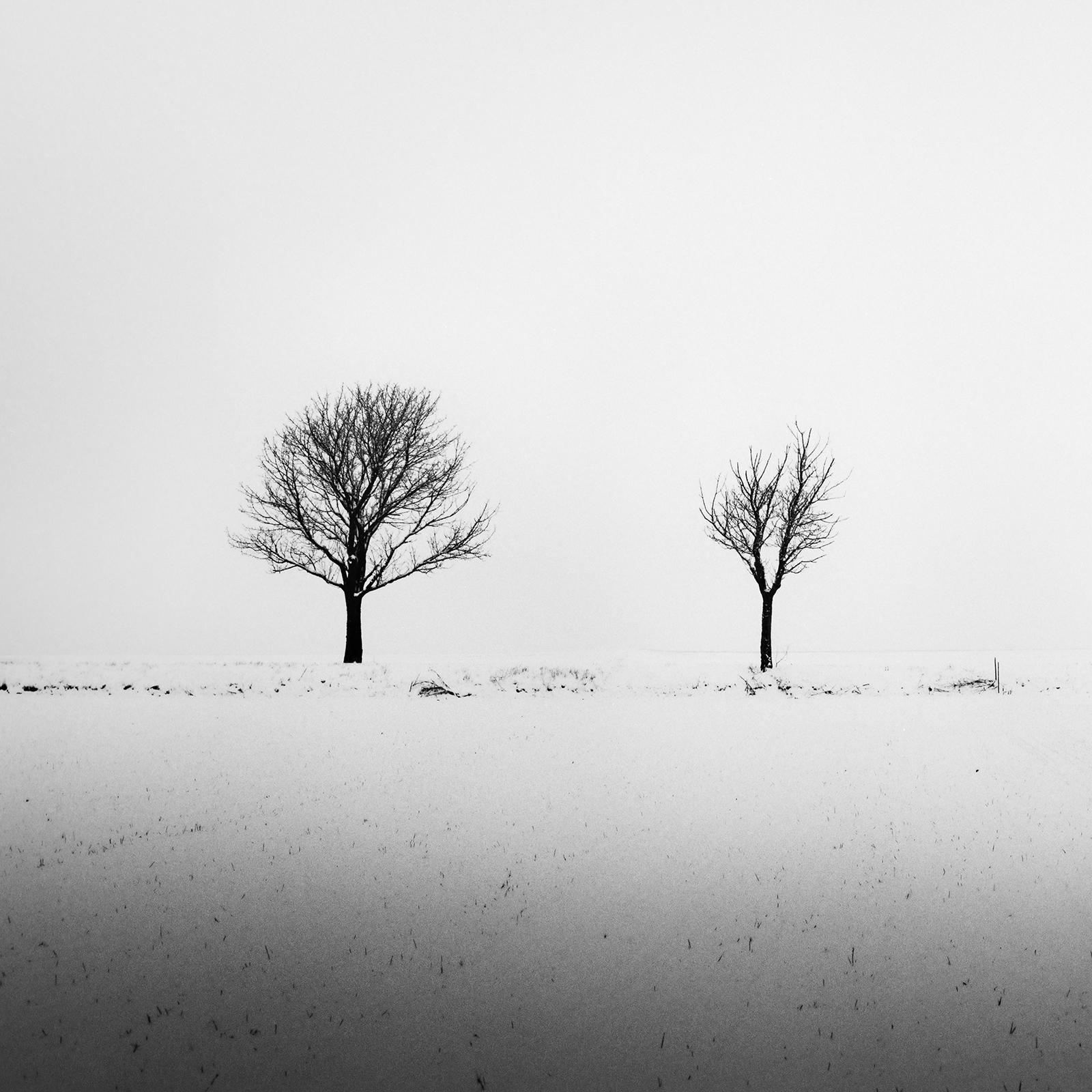 Arbres dans un champ enneigé, art minimal, photographie en noir et blanc, paysage en vente 4