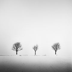 Trees in snowy Field, Winter, minimalism, black and white art print, landscape