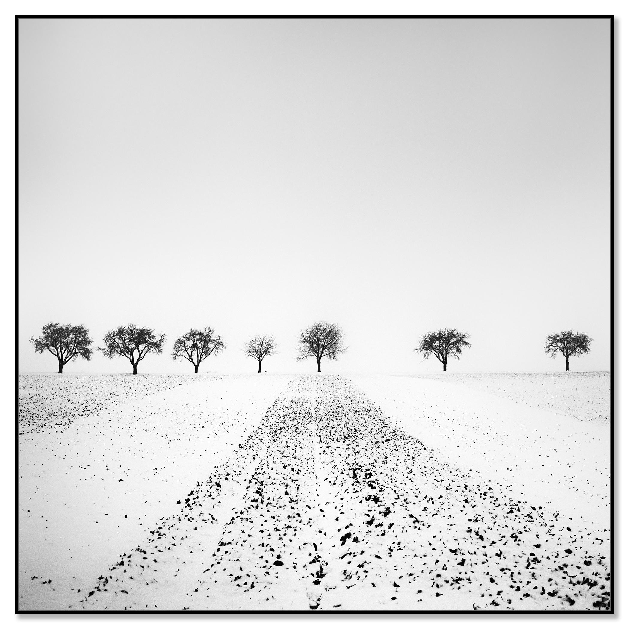 Trees in snowy Field Winterland black and white landscape photograph - Photograph by Gerald Berghammer
