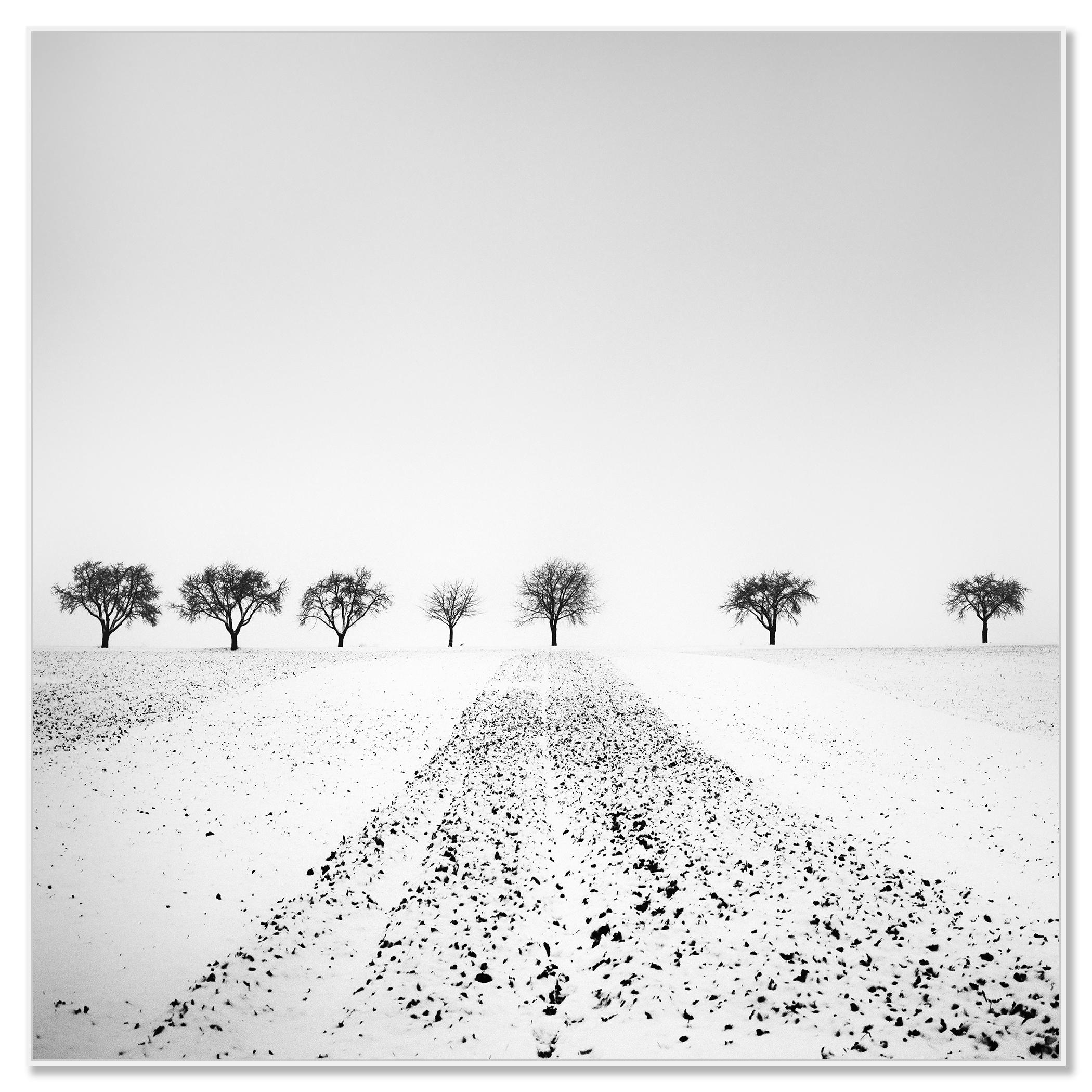 Trees in snowy Field Winterland black and white landscape photograph - Contemporary Photograph by Gerald Berghammer