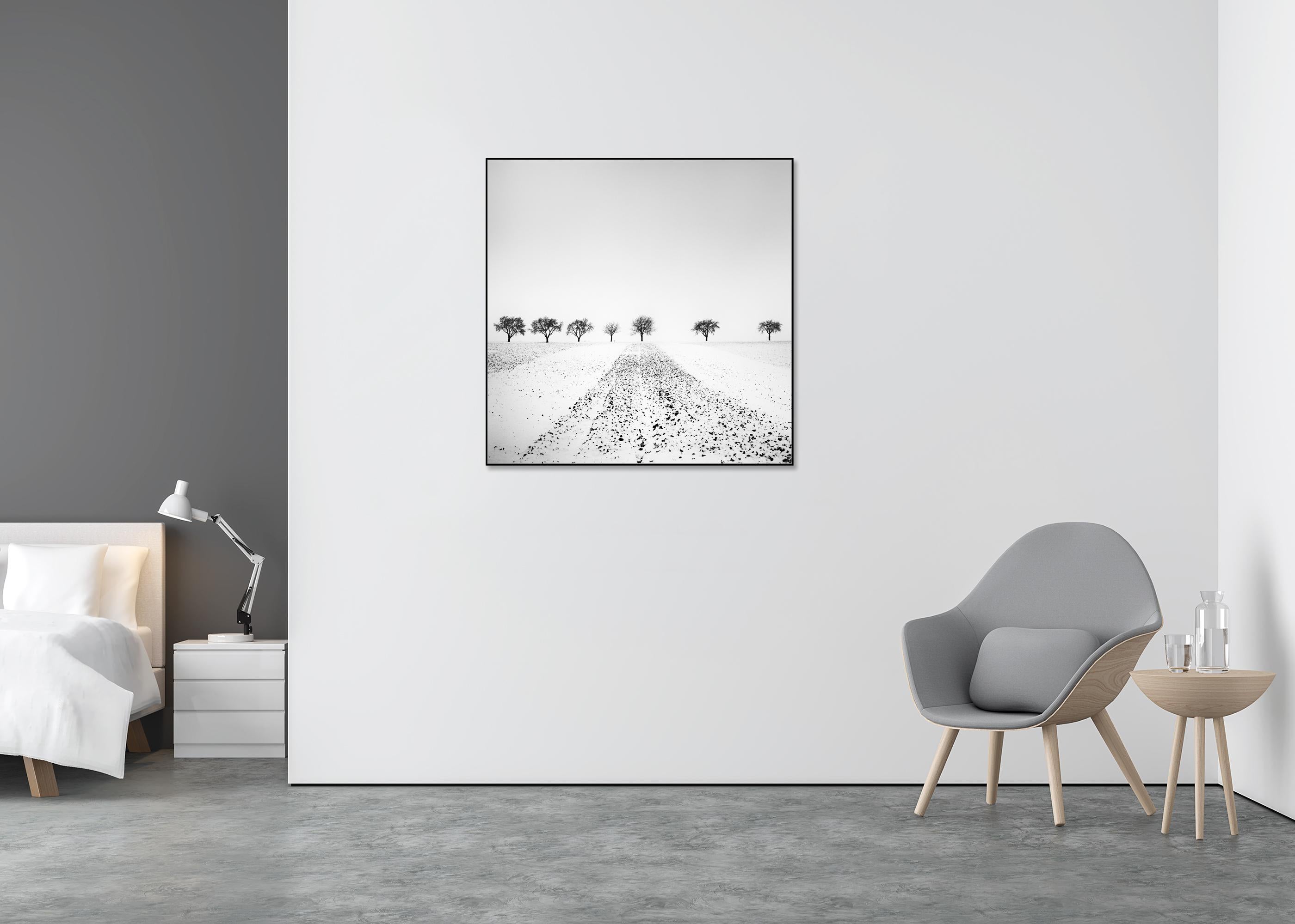 Trees in snowy Field Winterland black and white landscape photograph - Gray Landscape Photograph by Gerald Berghammer