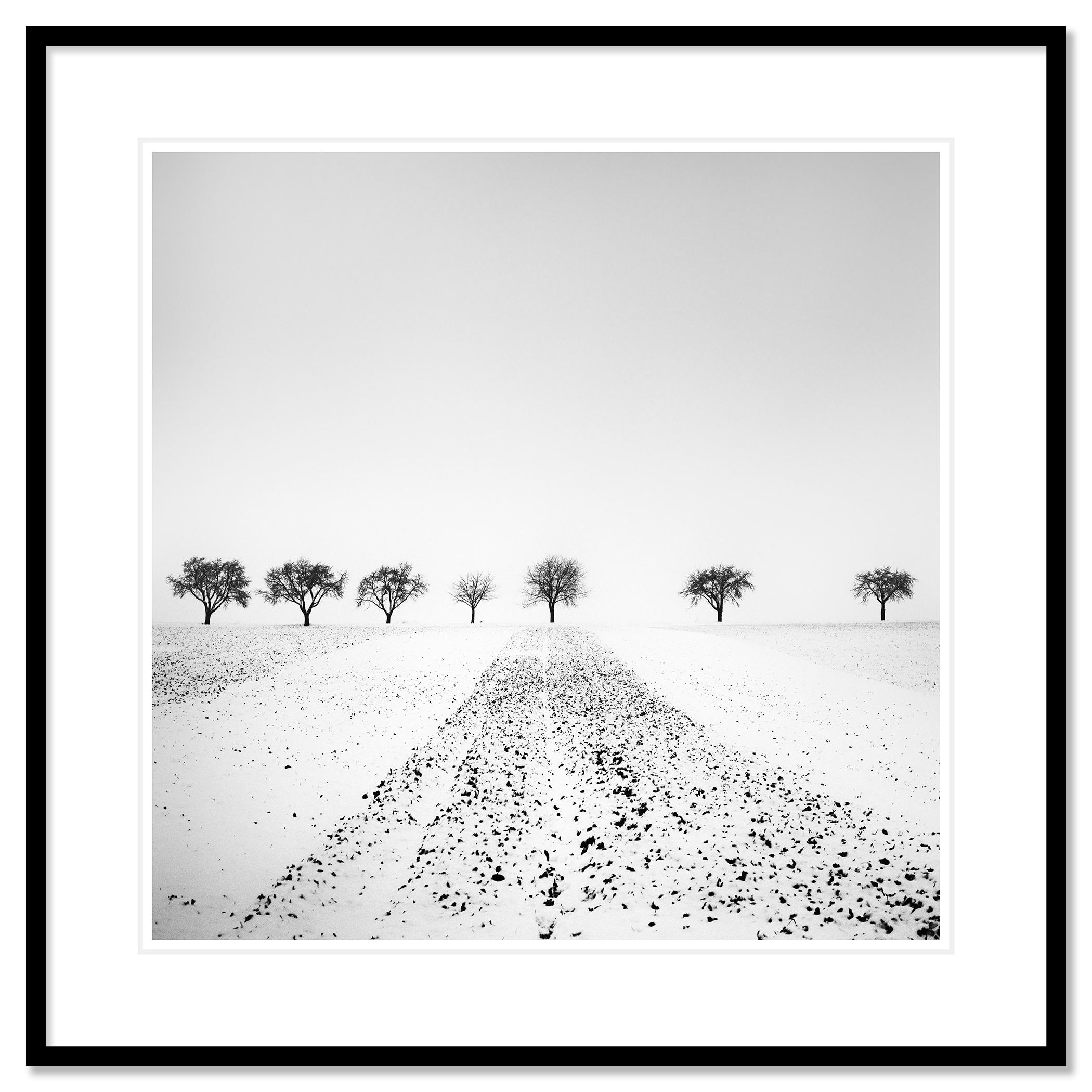 Trees in snowy Field Study 4, Austria - no. 18144
Archival pigment ink print as part of a limited edition of 9. All Gerald Berghammer prints are made to order in limited editions on Hahnemuehle Photo Rag Baryta. Each print is stamped on the back and