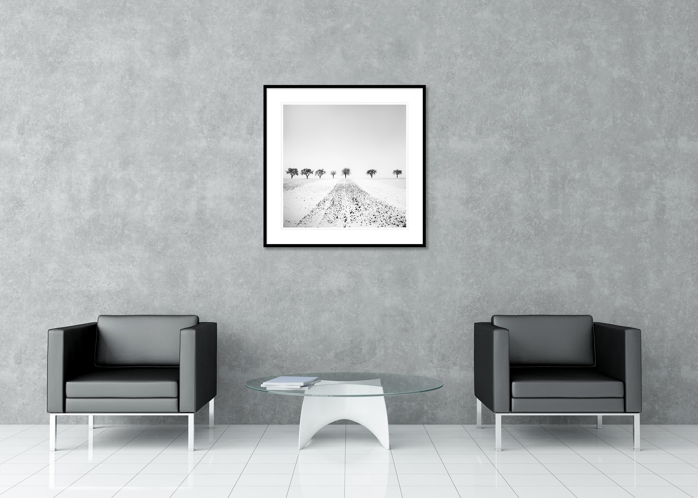 Trees in snowy Field Winterland black and white landscape photograph For Sale 2