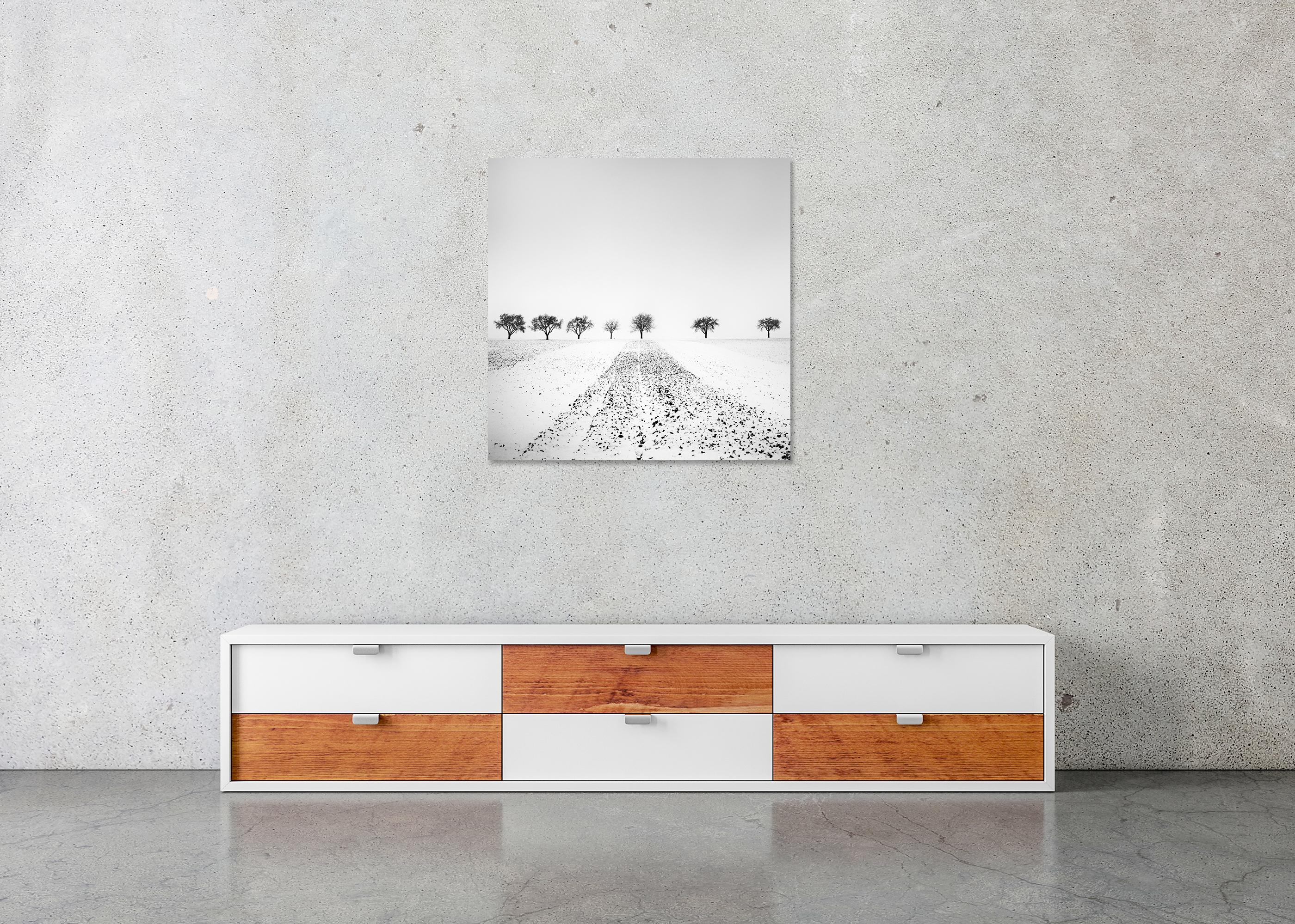 Trees in snowy Field Winterland black and white landscape photograph For Sale 4