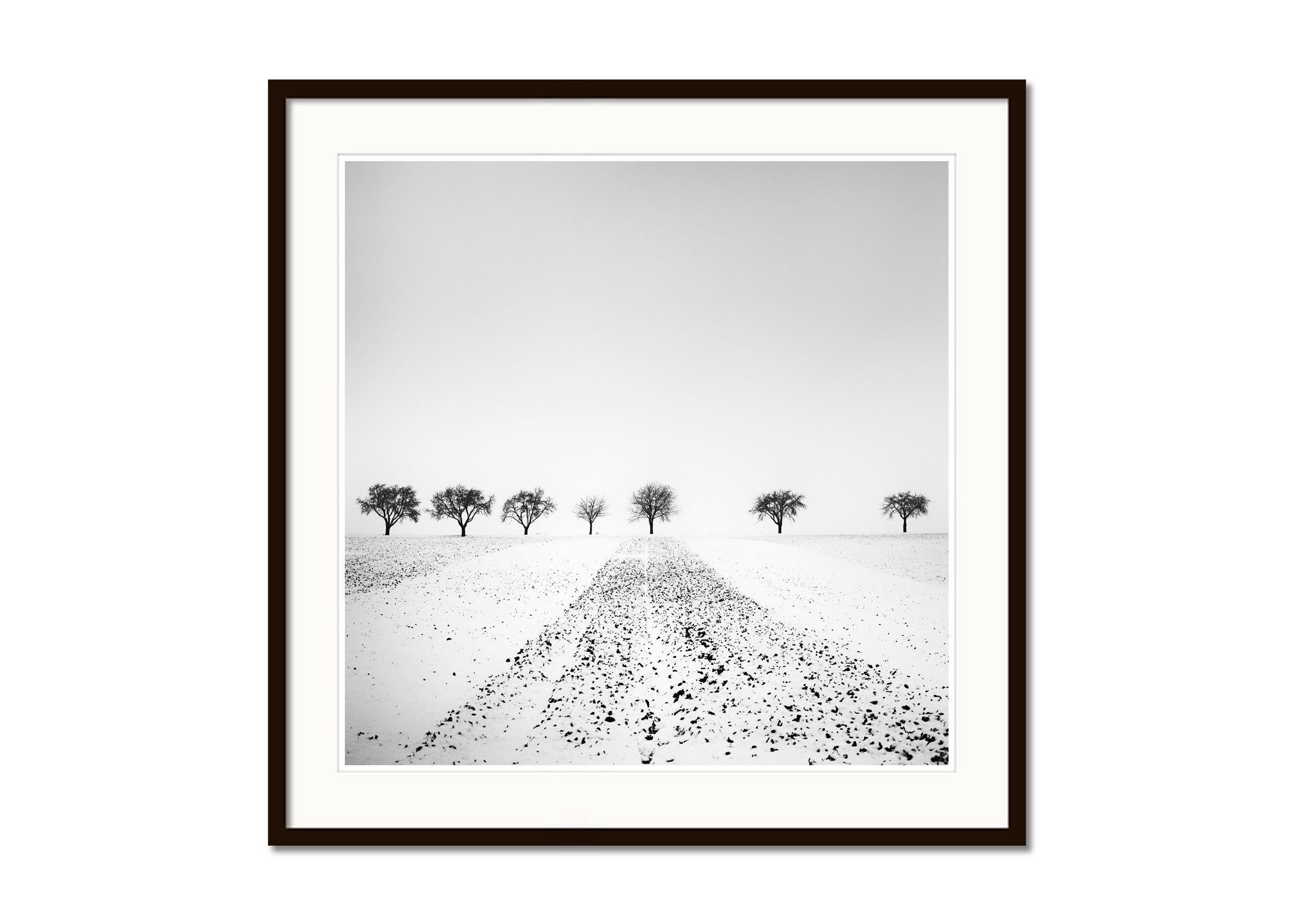 Trees in snowy Field, Winterland, black and white, landscape photography, print - Gray Landscape Photograph by Gerald Berghammer