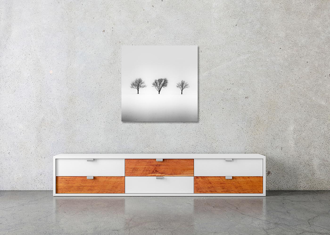Árboles en el campo nevado, winterland, fotografía en blanco y negro, arte, paisaje en venta 1