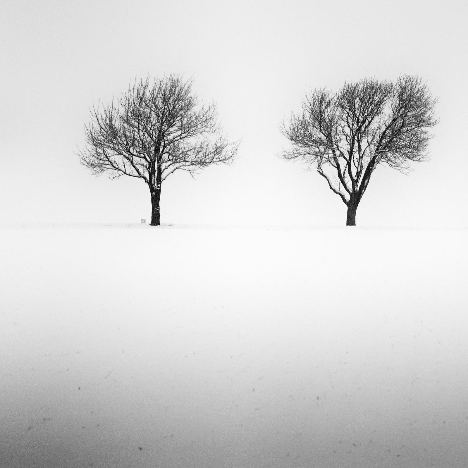 Arbres dans un champ enneigé, terre d'hiver, photographie en noir et blanc, art, paysage en vente 5