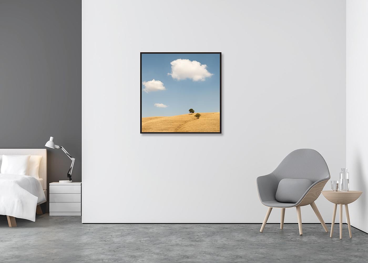 Trees in the Golden Field, USA, Fotografie in limitierter Auflage von Gerald Berghammer im Angebot 2