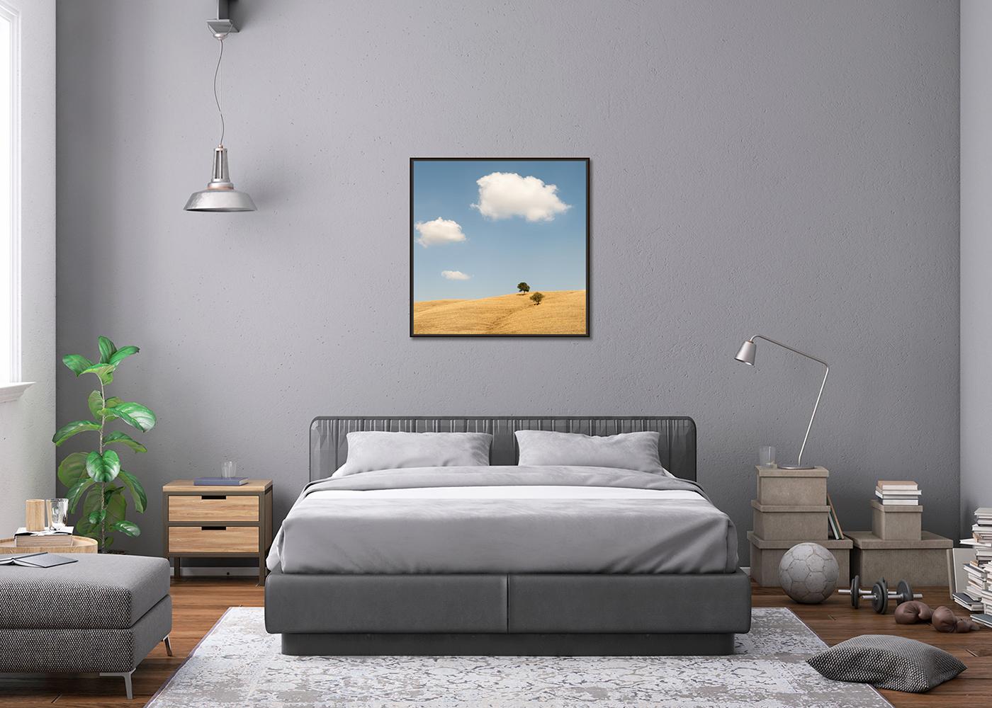 Trees in the Golden Field, USA, Fotografie in limitierter Auflage von Gerald Berghammer im Angebot 5
