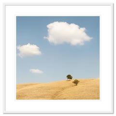 Trees in the Golden Field, États-Unis, photographie en édition limitée de Gerald Berghammer