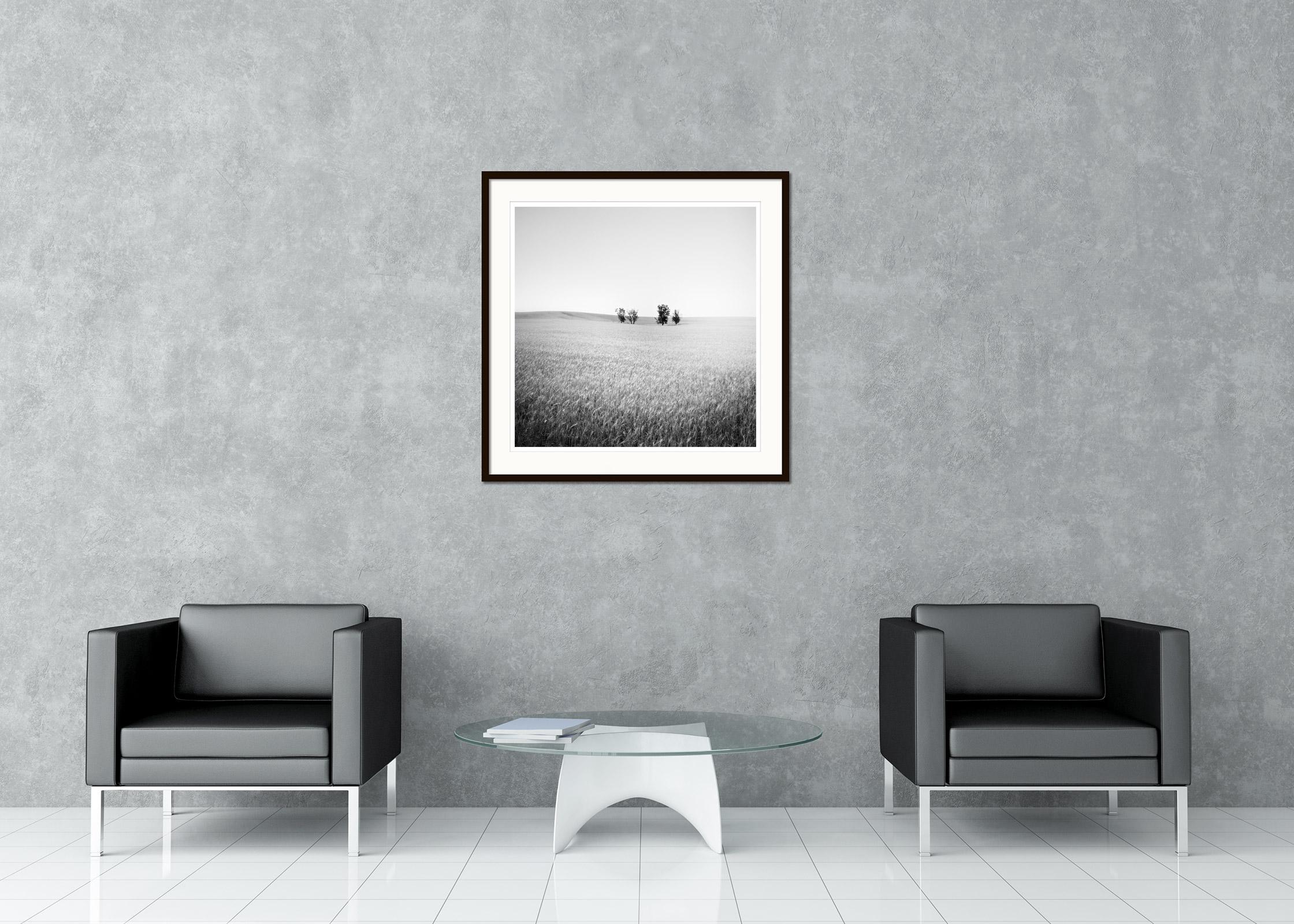 Gerald Berghammer - Limited edition of 9.
Archival fine art pigment print. Signed, titled, dated and numbered by artist. Certificate of authenticity included. Printed with 4cm white border.
15.75 x 15.75 in. (40 x 40 cm) edition of 9
23.63 x 23.63