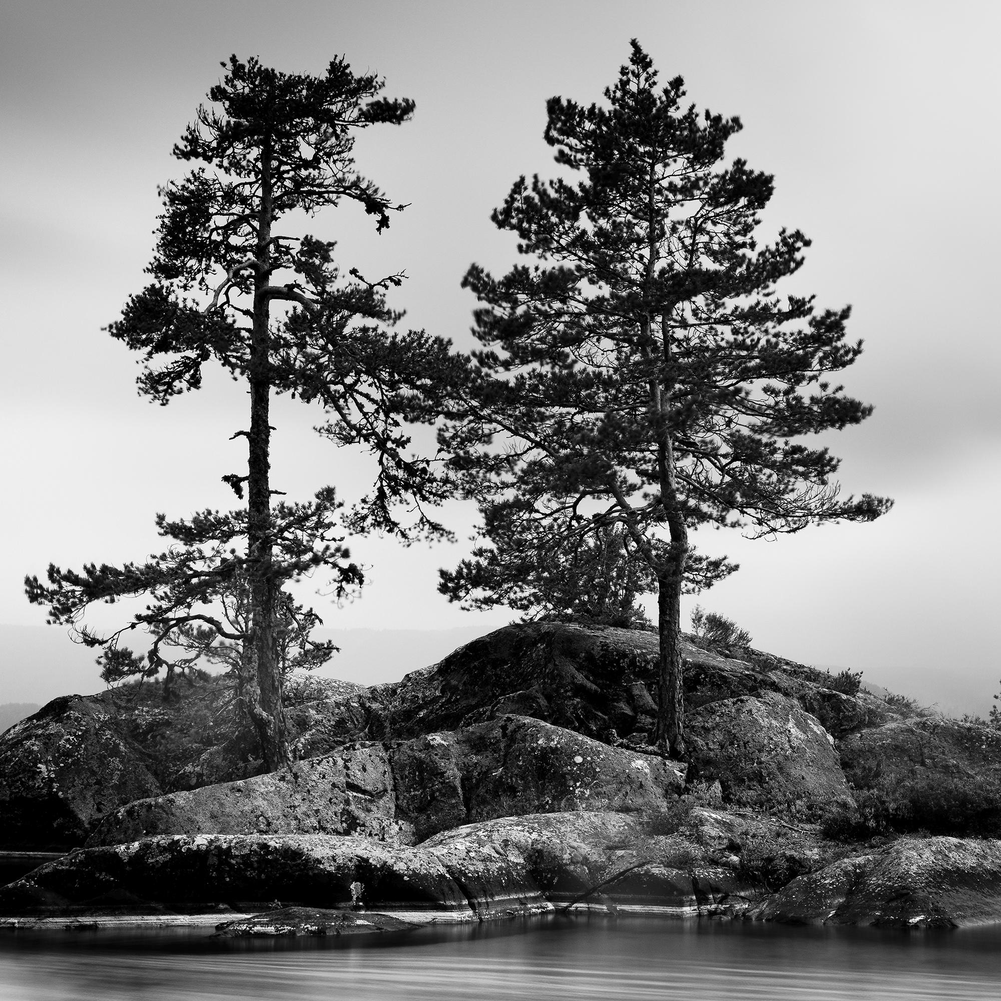 Trees on Rocky Island, Seelandschaft, Norwegen, lange exposure- Meereslandschaft, limitierte Auflage im Angebot 5