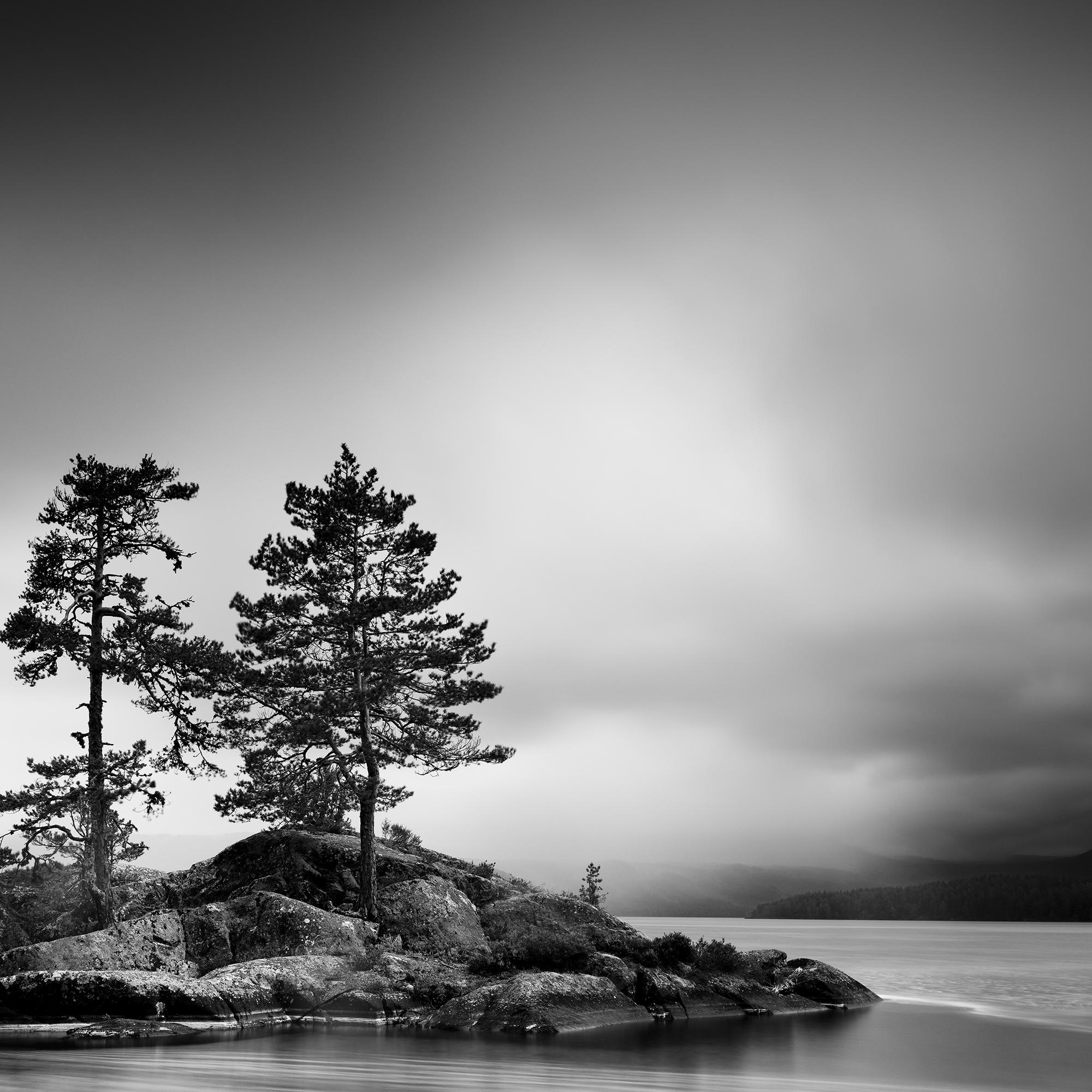 Trees on Rocky Island, Seelandschaft, Norwegen, lange exposure- Meereslandschaft, limitierte Auflage im Angebot 4