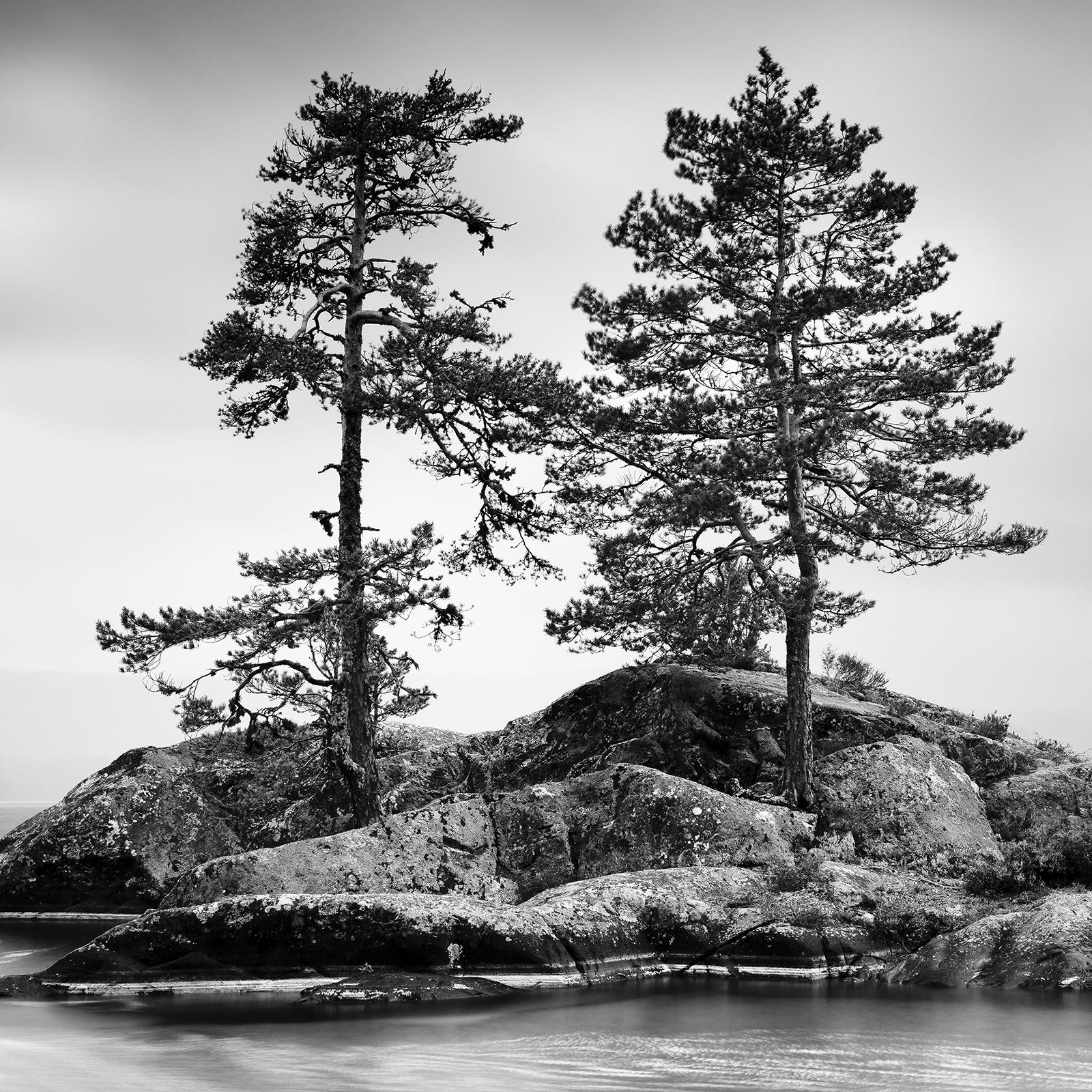 Trees on Rocky Island, Sturm Wetter, monochrome Fotografie, limitierte Auflage im Angebot 5