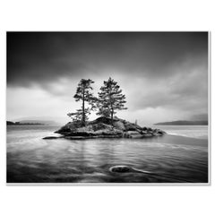 Trees on Rocky Island, Stormy Weather, monochrome photograph, limited edition