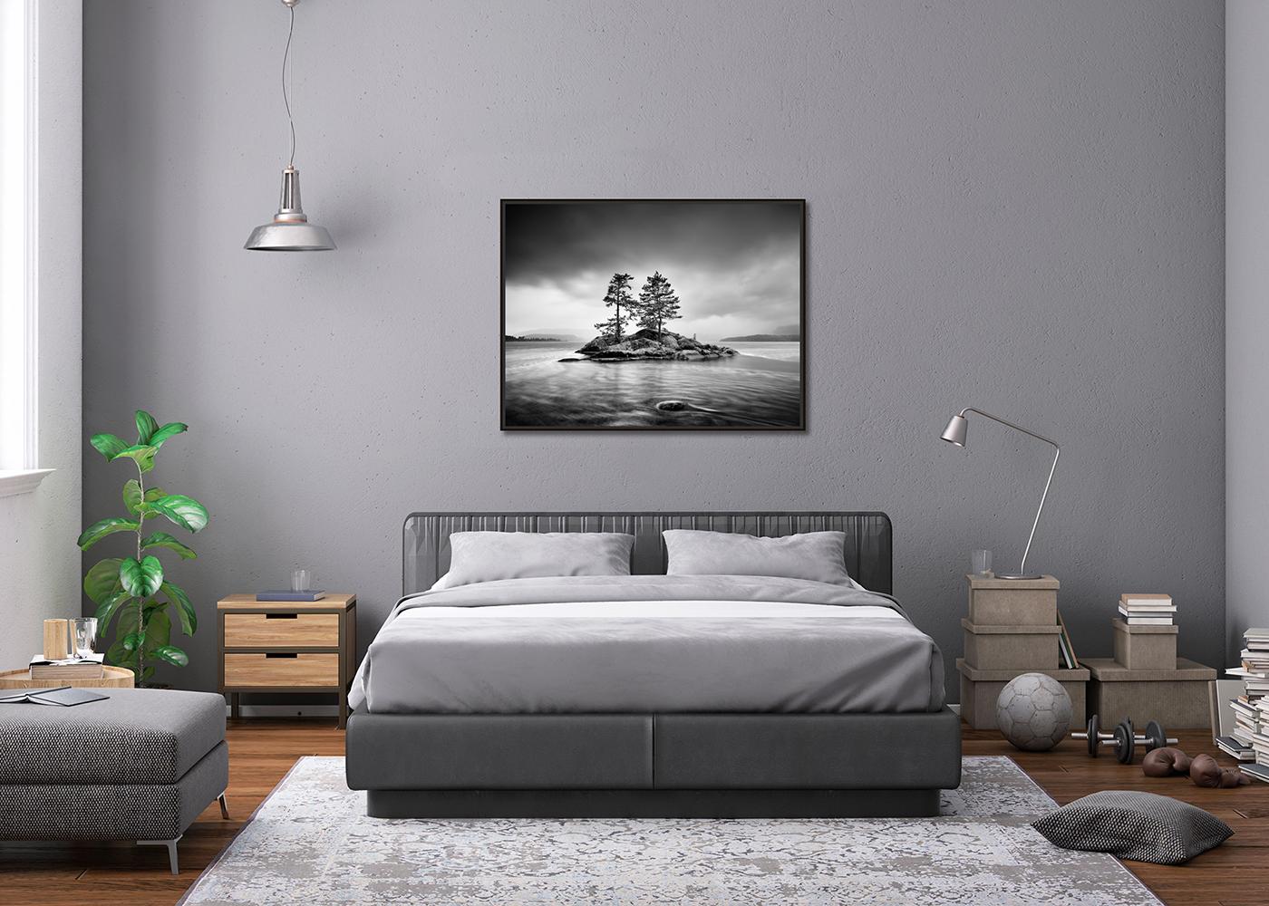 Trees on Rocky Island, Sturm Wetter, monochrome Fotografie, limitierte Auflage im Angebot 2