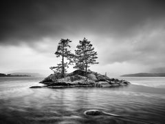 Alberi su Rocky Island, tempo di tempesta, fotografia monocromatica, edizione limitata