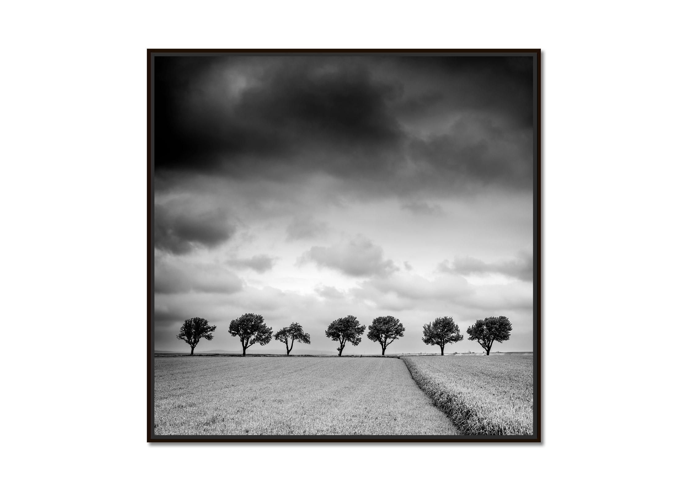 Bäume am Rande des Feldes, Wolken, Gewitter, Sturm, Schwarz-Weiß-Kunstlandschaftsfotografie – Print von Gerald Berghammer