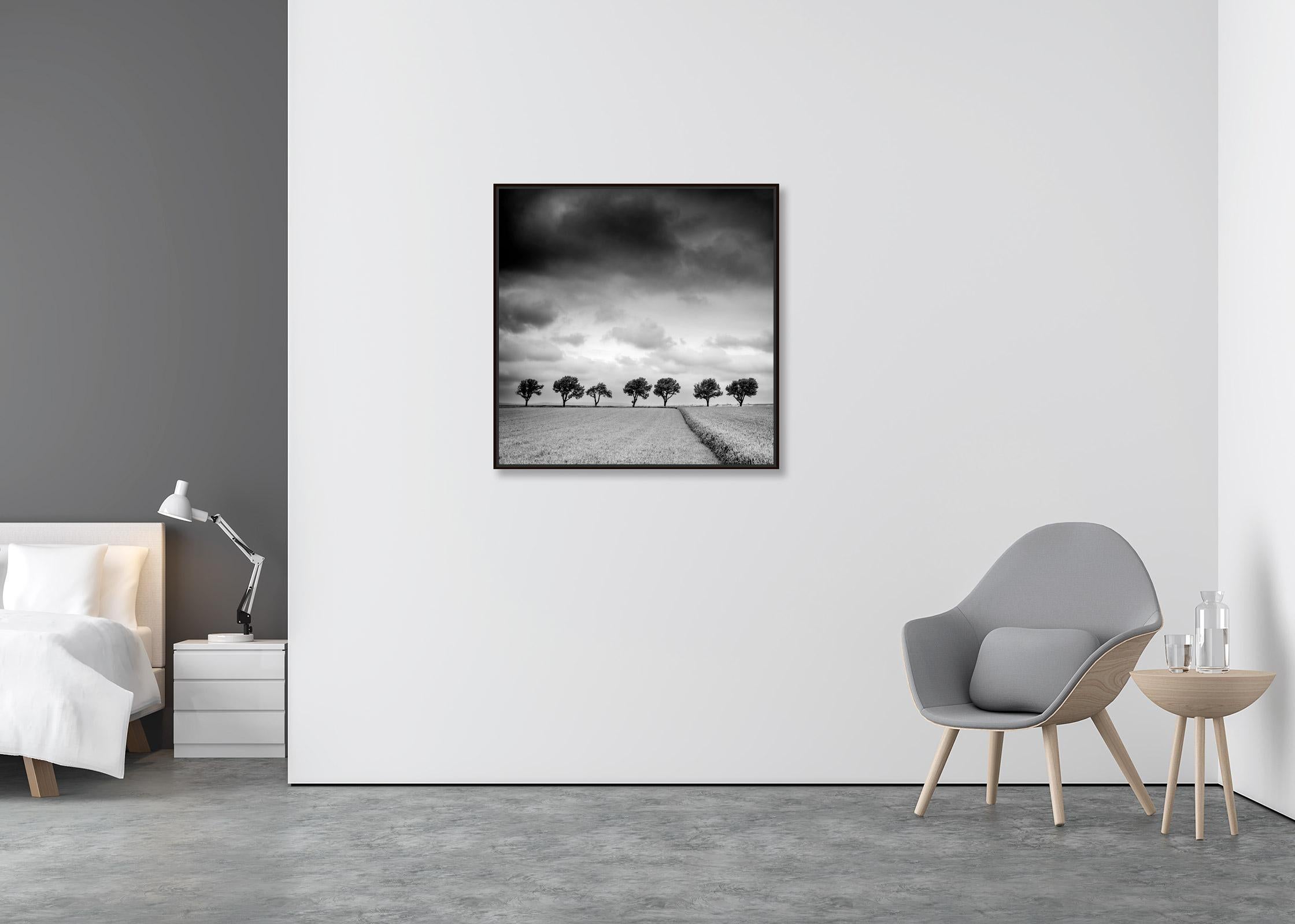 Bäume am Rande des Feldes, Wolken, Gewitter, Sturm, Schwarz-Weiß-Kunstlandschaftsfotografie (Zeitgenössisch), Print, von Gerald Berghammer