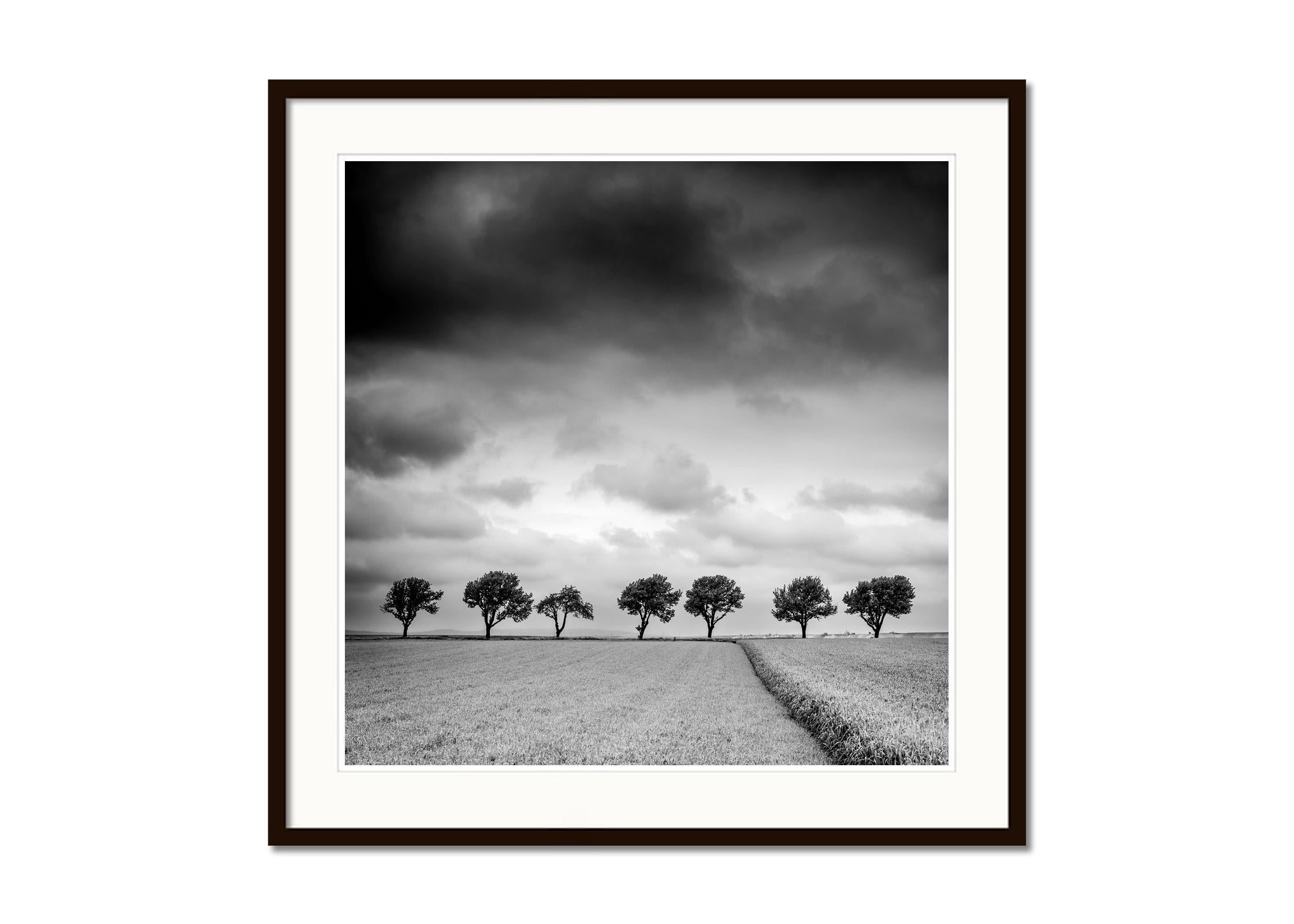 Photographie de paysage en noir et blanc. Rangée d'arbres en bordure de champ pendant un orage avec de gros nuages, Autriche. Épreuve à l'encre pigmentaire d'archives, édition de 7 exemplaires. Signée, titrée, datée et numérotée par l'artiste.
