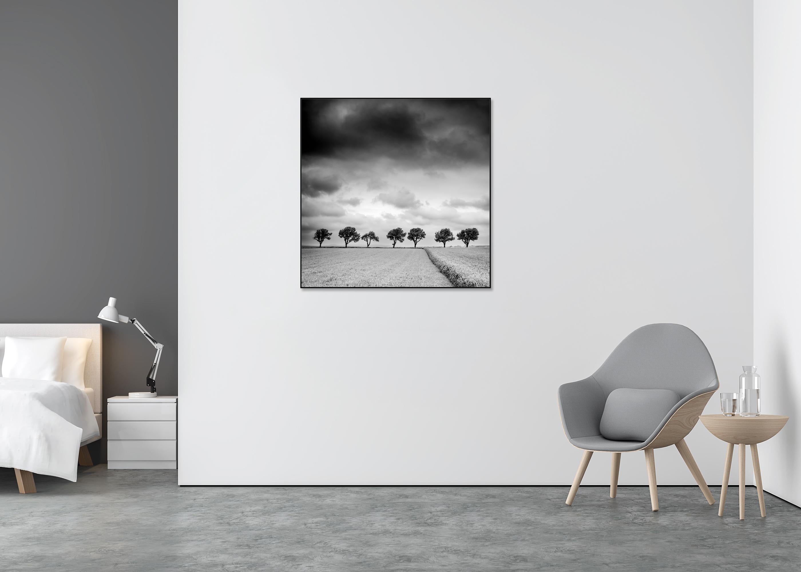 black and white field