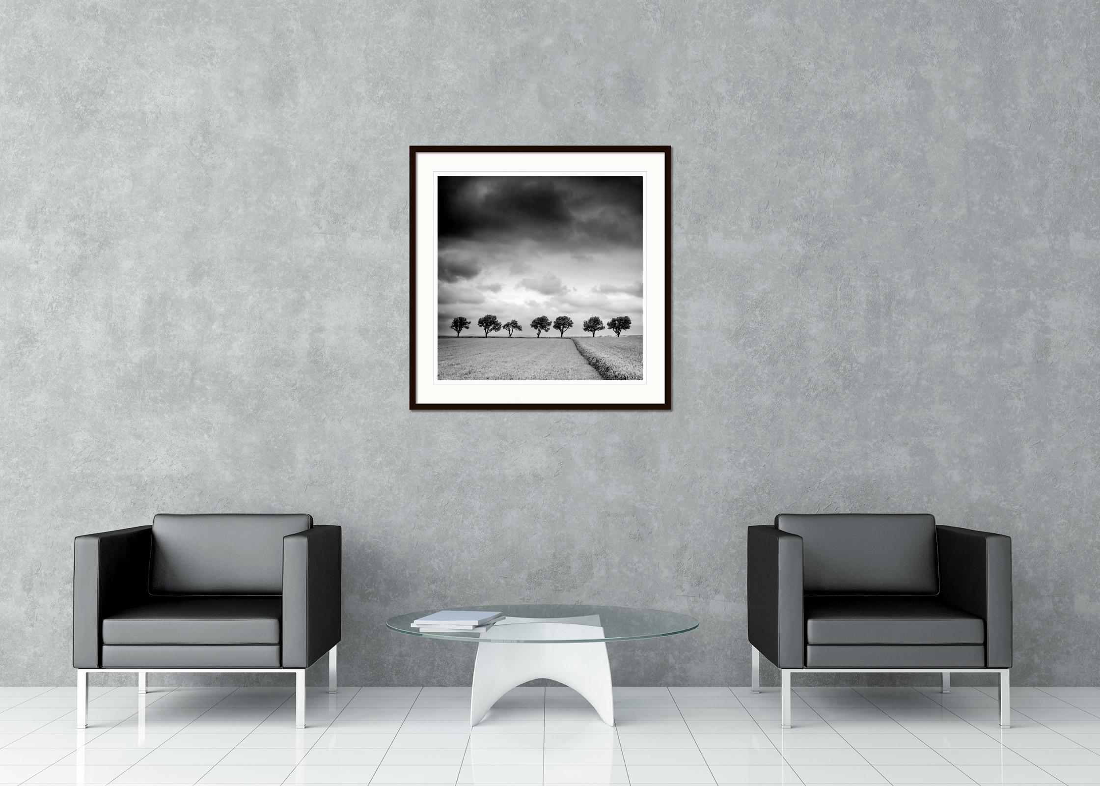 The Trees on the edge of Field, cloudy, storm, black white art landscape photography en vente 1