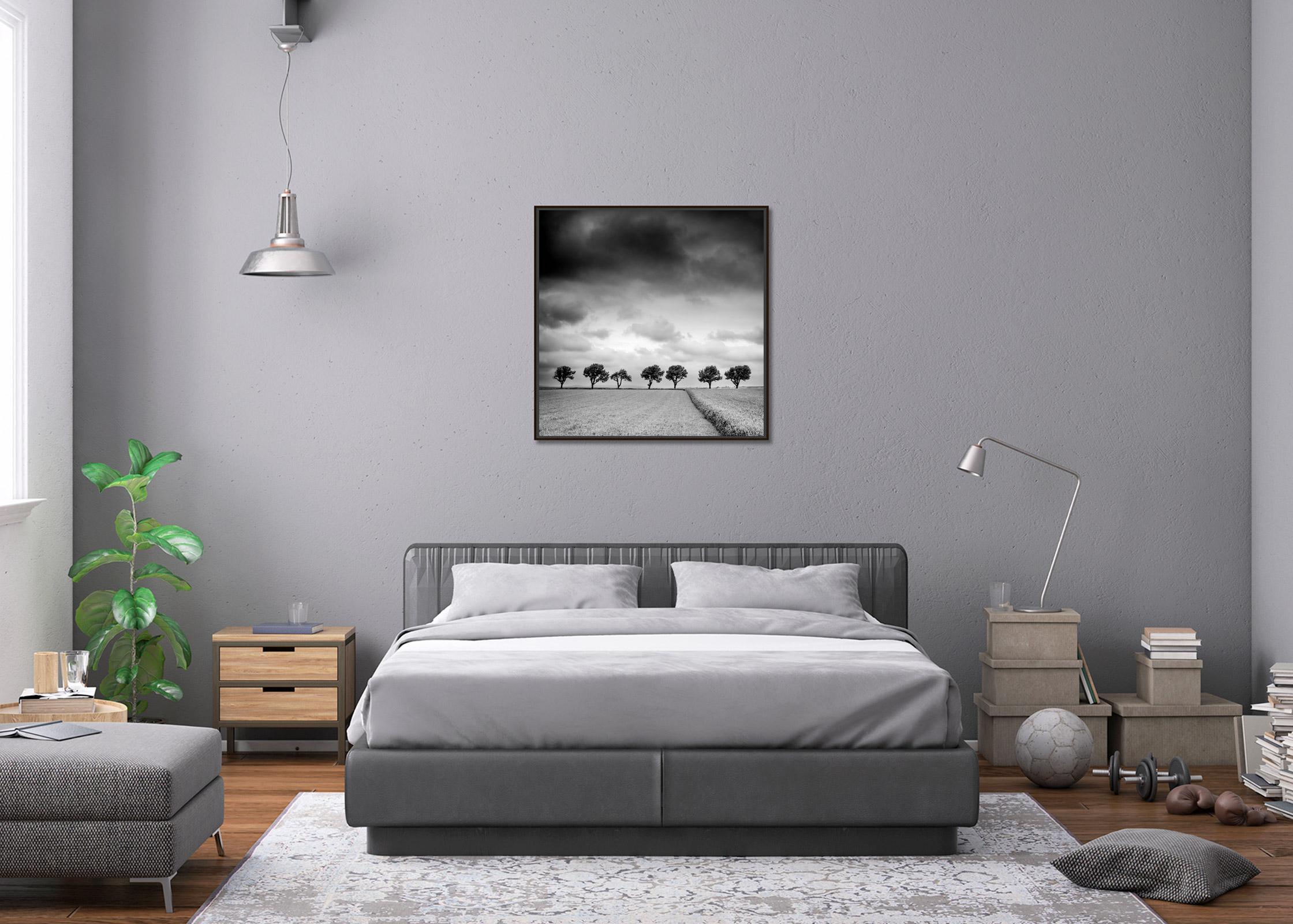 The Trees on the edge of Field, cloudy, storm, black white art landscape photography en vente 2