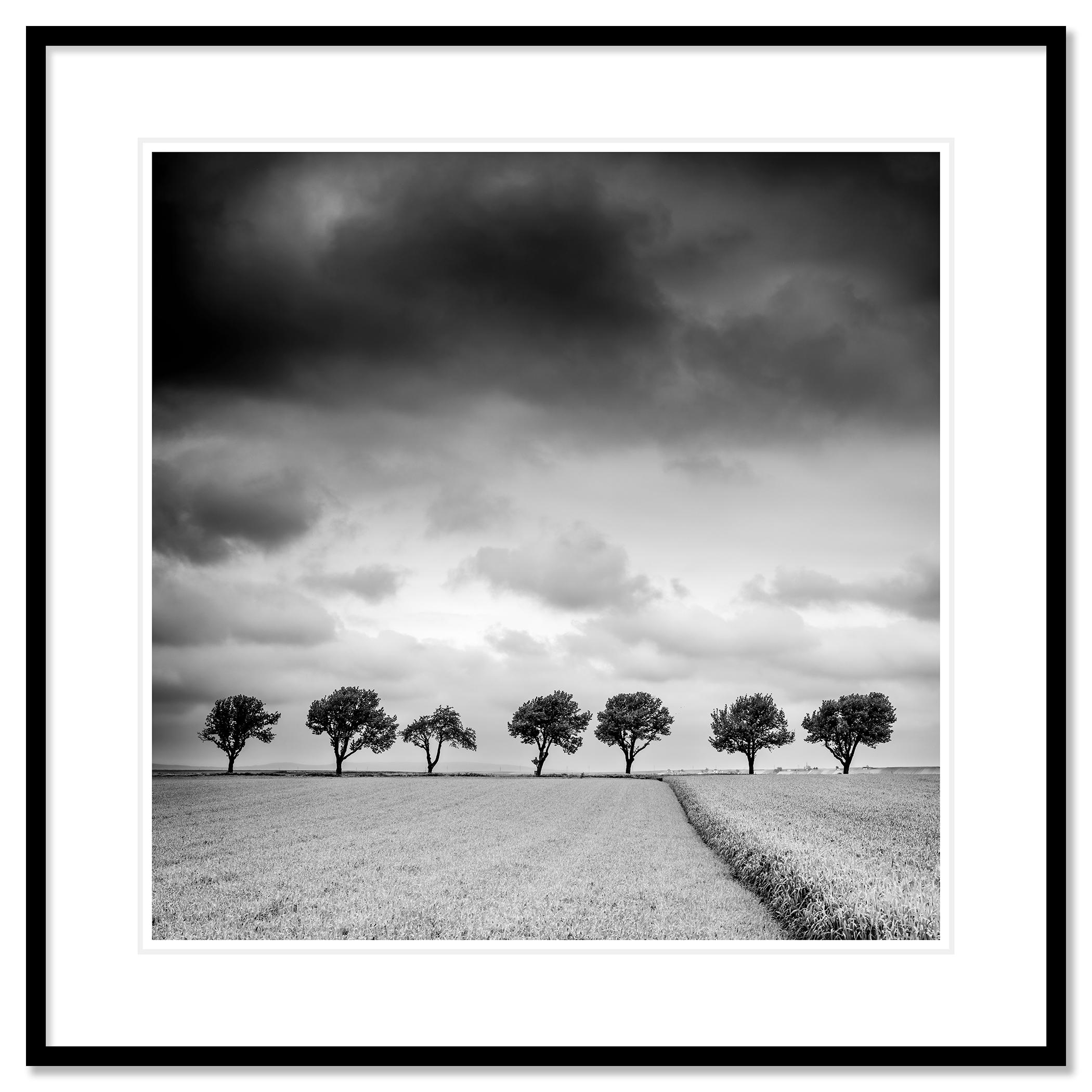 Trees on the Edge of Field - cloudy - black and white landscape photography - Contemporary Photograph by Gerald Berghammer