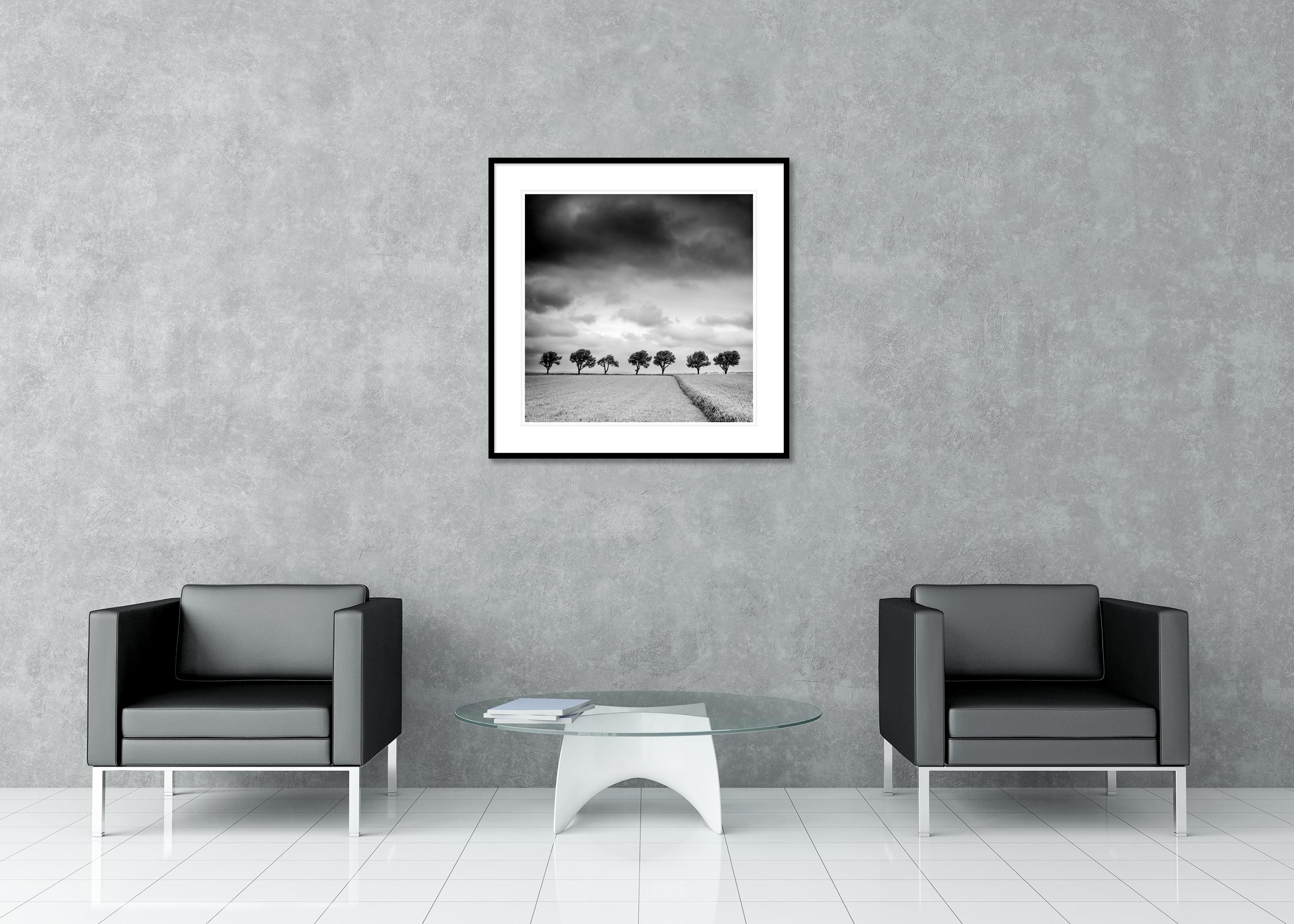 Trees on the Edge of Field - cloudy - black and white landscape photography - Gray Landscape Photograph by Gerald Berghammer