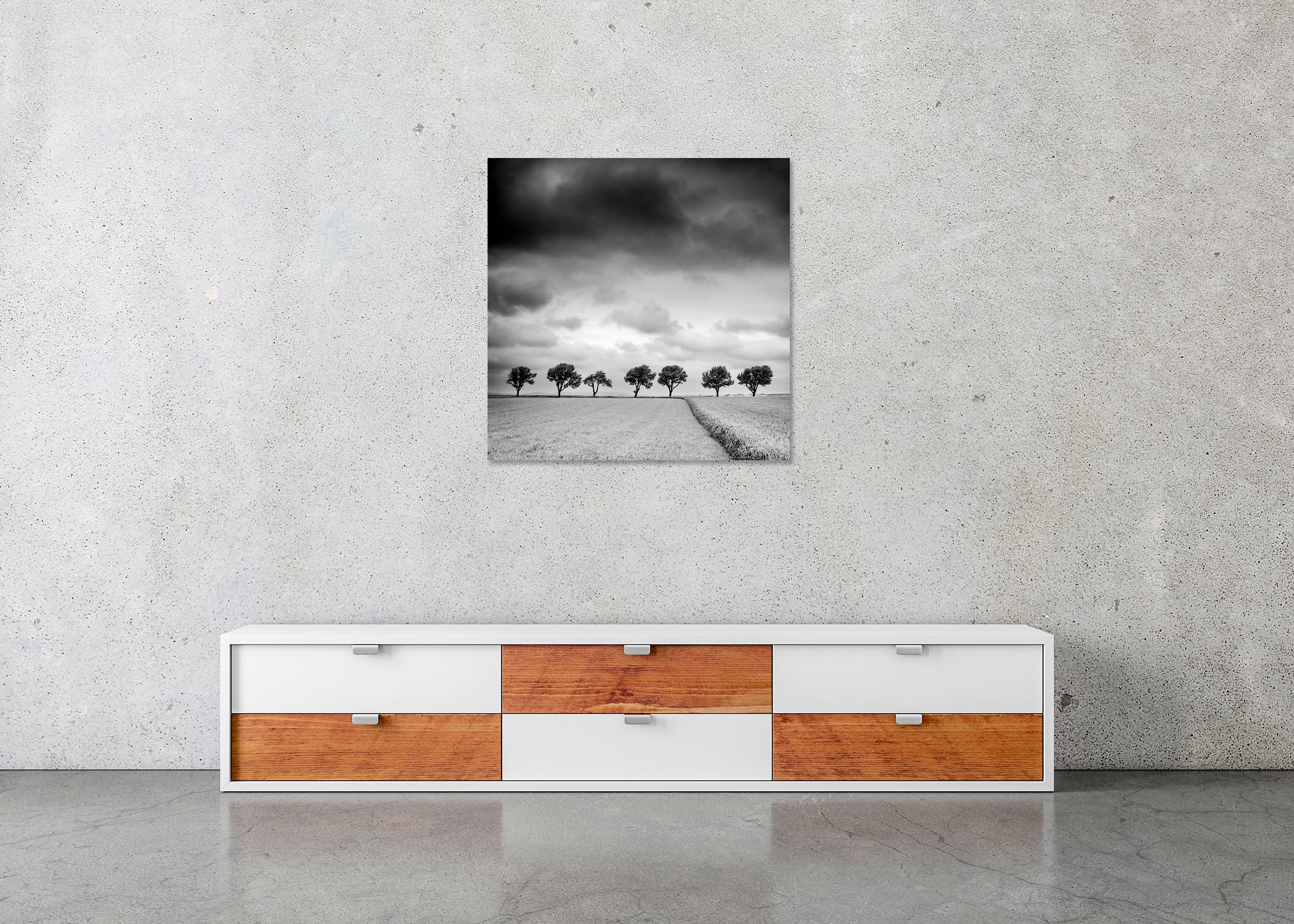 Trees on the Edge of Field - cloudy - black and white landscape photography For Sale 1