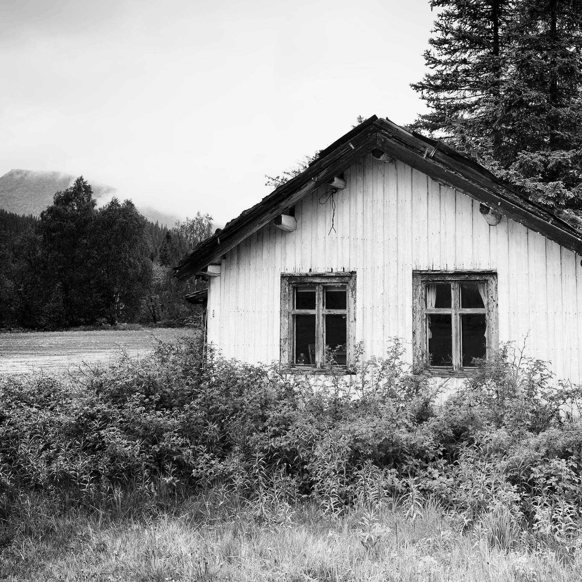 The Trees on the Roof, Abandoned House, photographie en noir et blanc, édition limitée en vente 5