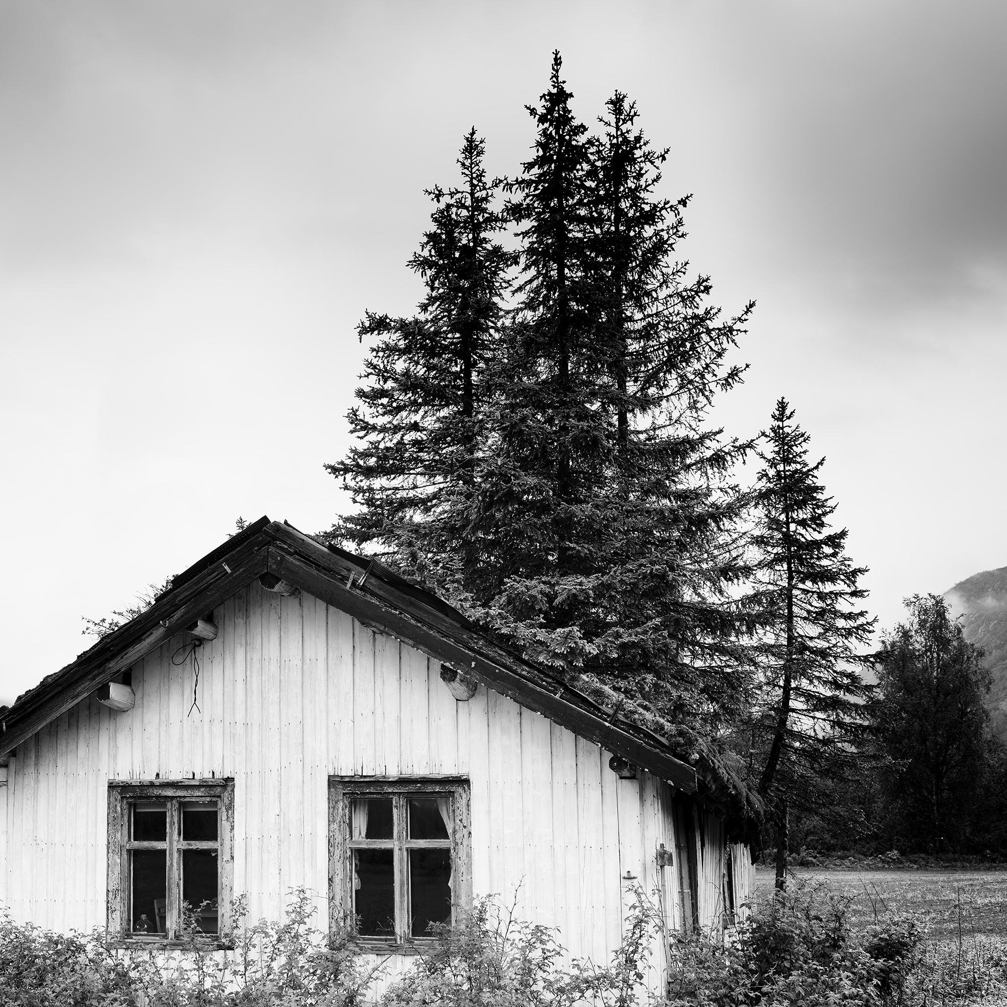 The Trees on the Roof, Abandoned House, photographie en noir et blanc, édition limitée en vente 6