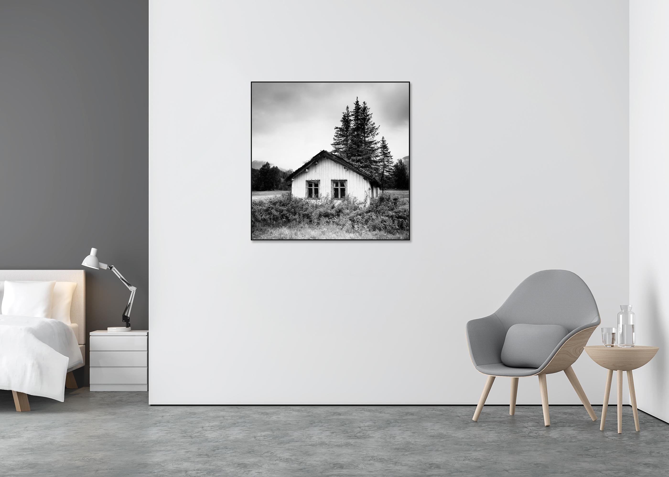 The Trees on the Roof, Abandoned House, photographie en noir et blanc, édition limitée - Gris Black and White Photograph par Gerald Berghammer