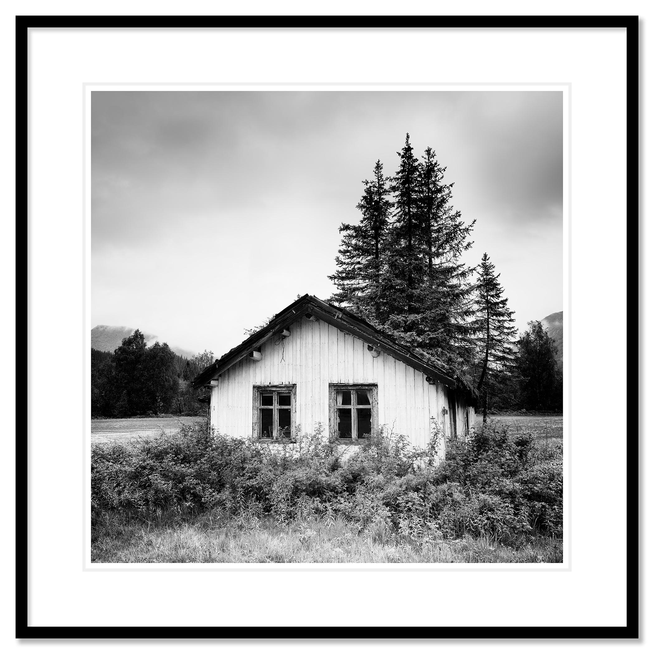 The Trees on the Roof, Abandoned House, photographie en noir et blanc, édition limitée en vente 1