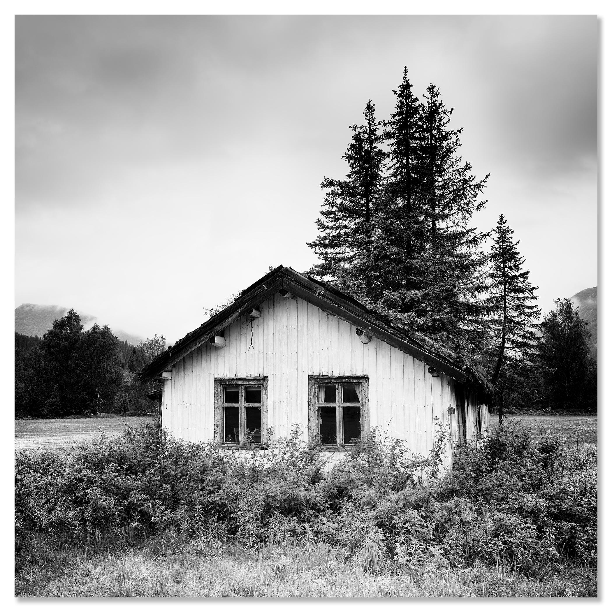 The Trees on the Roof, Abandoned House, photographie en noir et blanc, édition limitée en vente 3