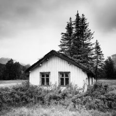 Árboles en el tejado, casa abandonada, fotografía en blanco y negro, edición limitada