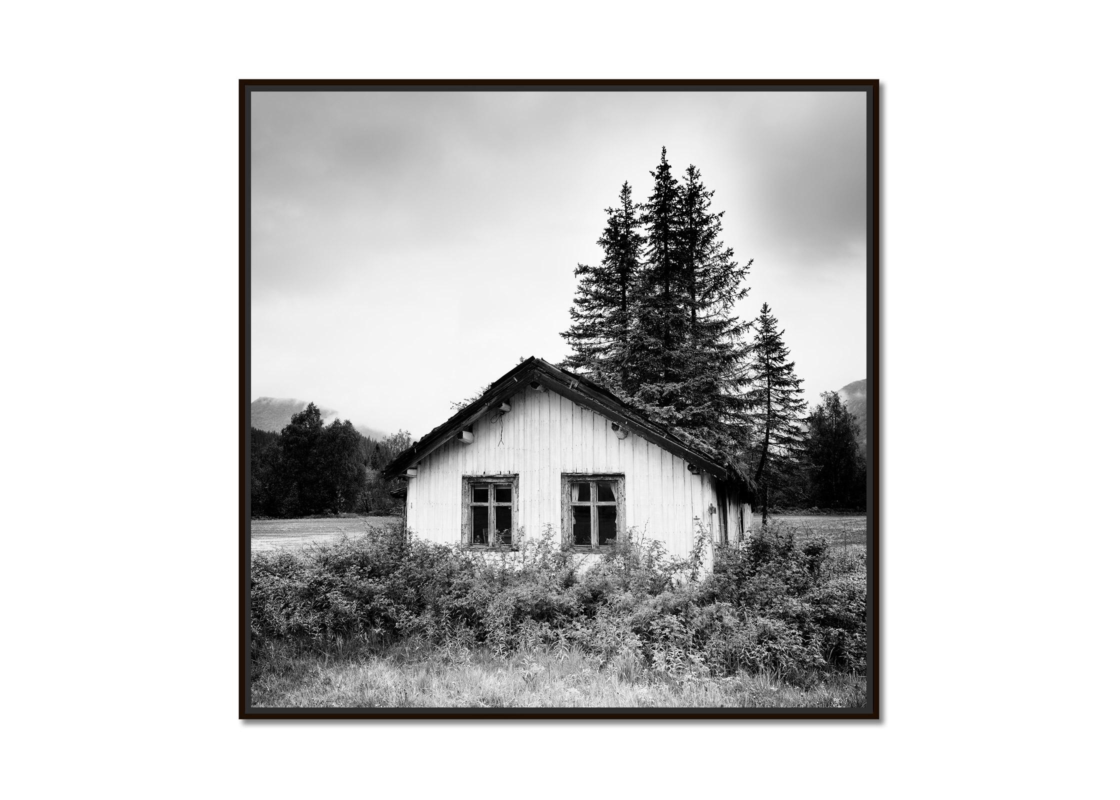 Trees on the Roof, Abandoned House, Schwarz-Weiß-Fotografie, limitierte Auflage – Photograph von Gerald Berghammer