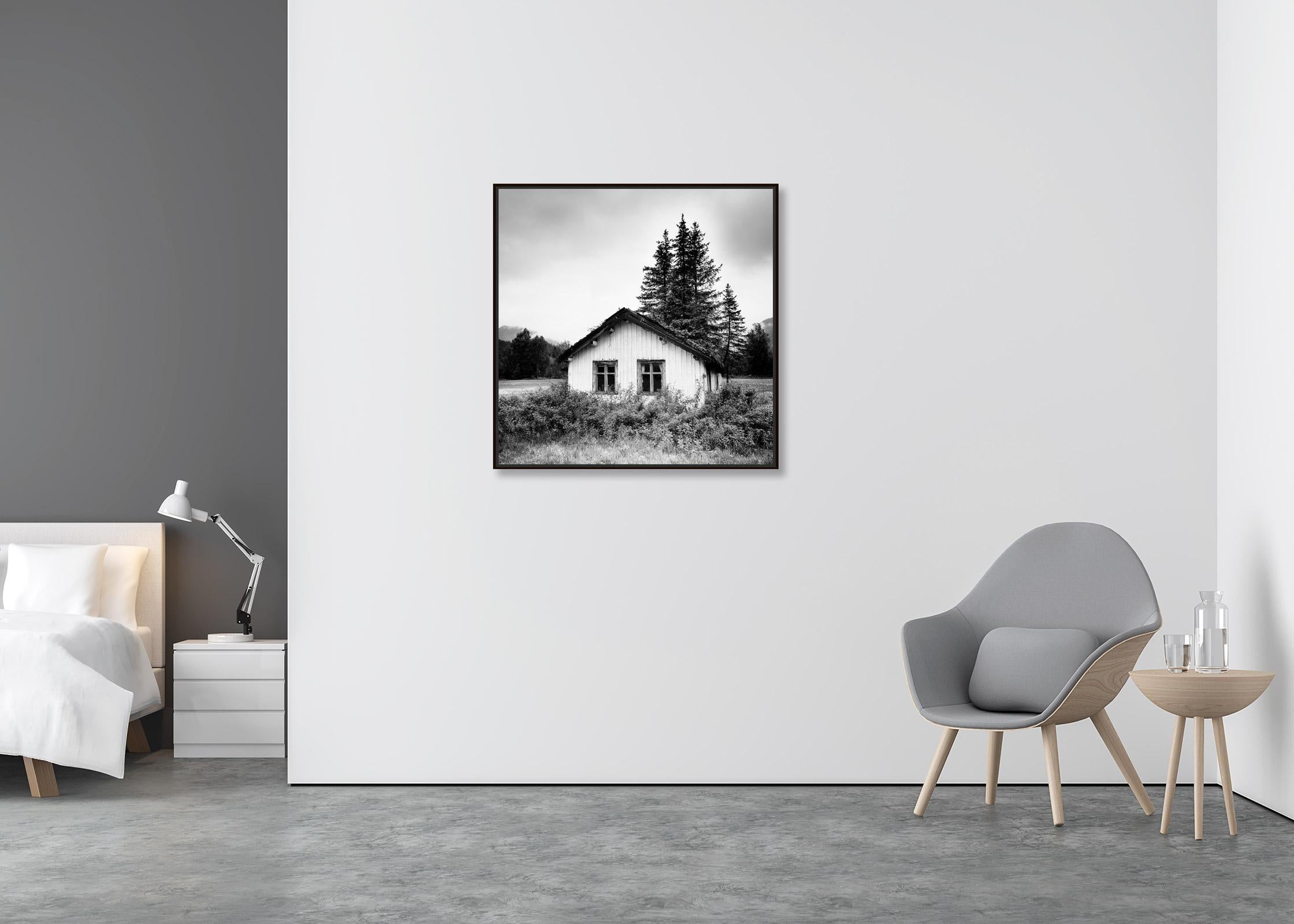 Trees on the Roof, Abandoned House, Schwarz-Weiß-Fotografie, limitierte Auflage (Zeitgenössisch), Photograph, von Gerald Berghammer
