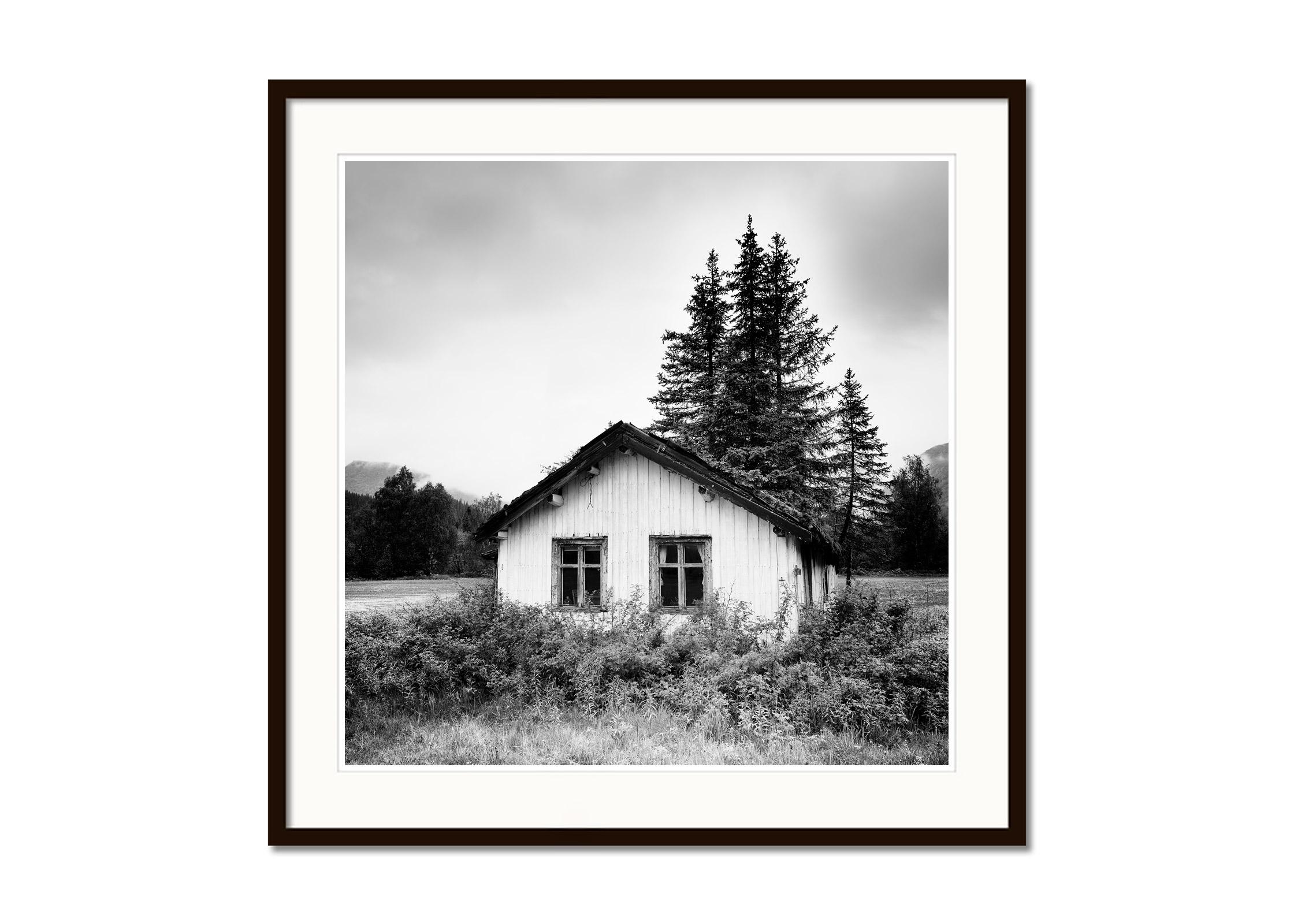 Trees on the Roof, Abandoned House, Schwarz-Weiß-Fotografie, limitierte Auflage (Grau), Black and White Photograph, von Gerald Berghammer