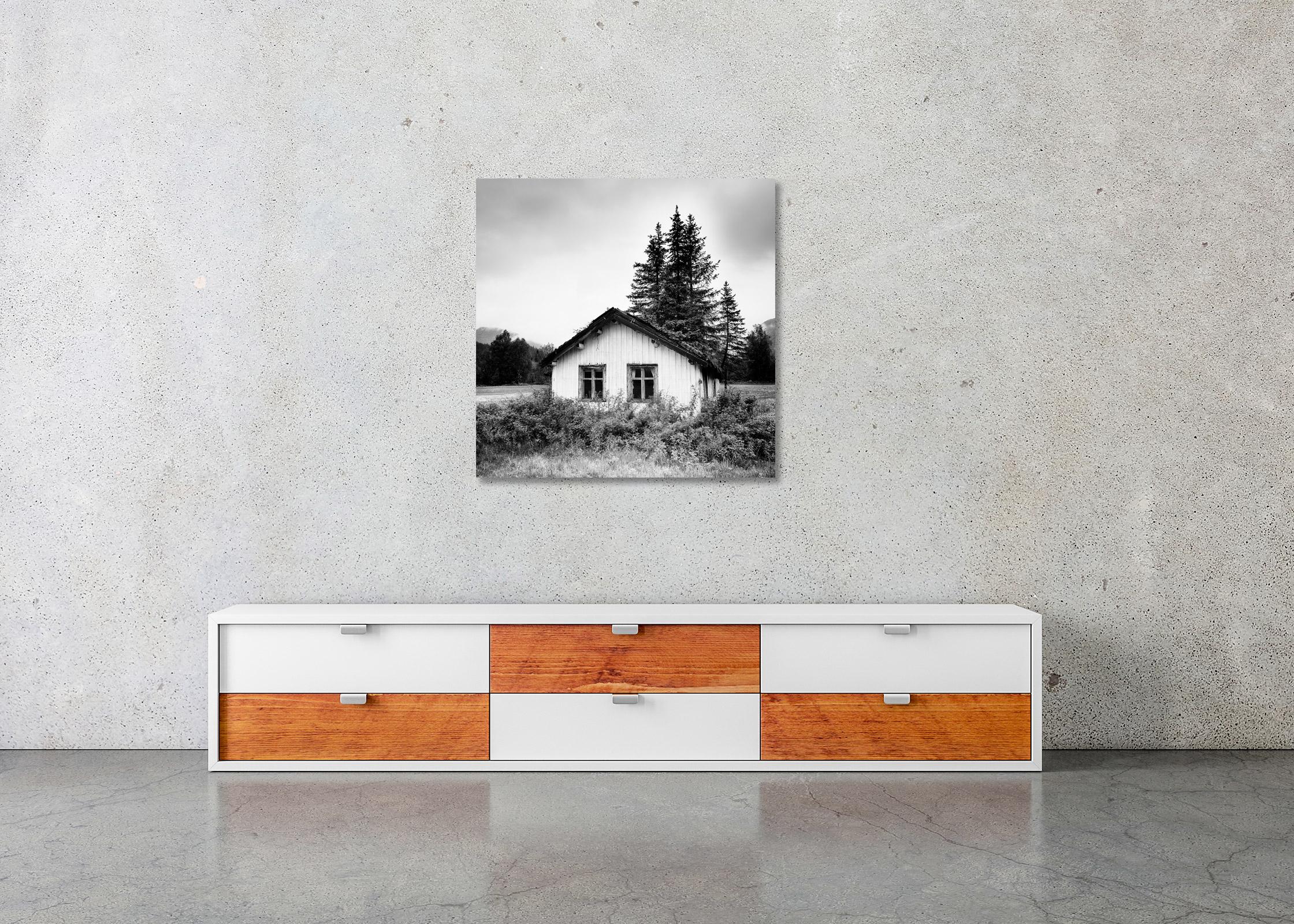 Trees on the Roof, Abandoned House, Schwarz-Weiß-Fotografie, limitierte Auflage im Angebot 2
