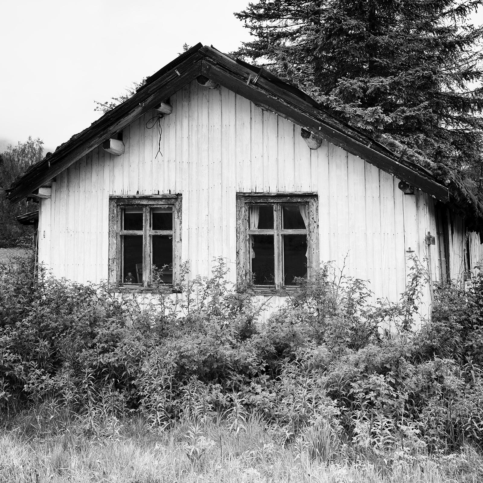 Trees on the Roof, Abandoned House, Schwarz-Weiß-Fotografie, limitierte Auflage im Angebot 3