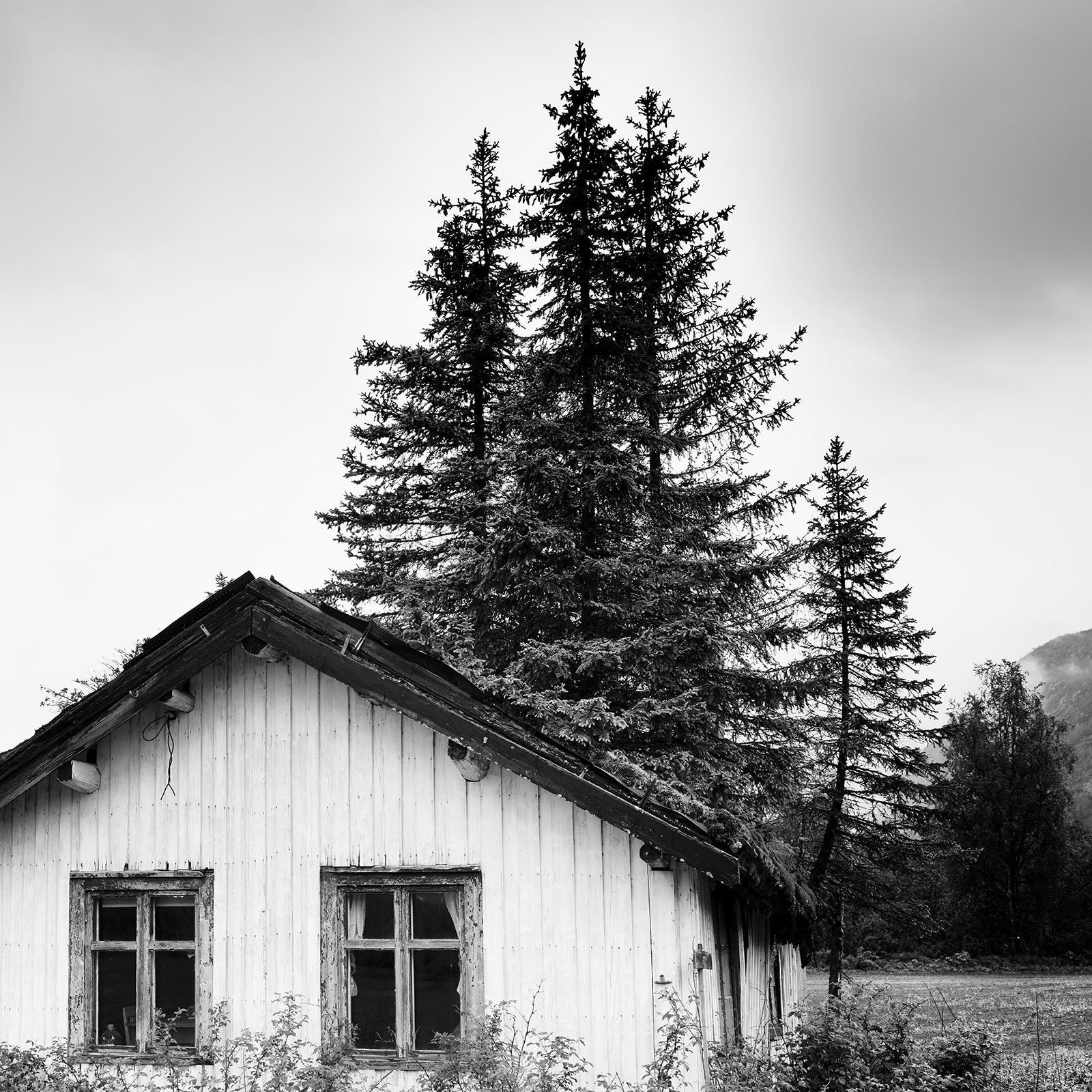 Trees on the Roof, Abandoned House, Schwarz-Weiß-Fotografie, limitierte Auflage im Angebot 4