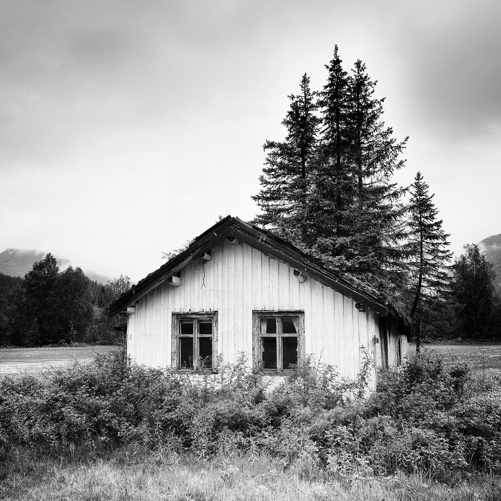 Gerald Berghammer Black and White Photograph – Trees on the Roof, Abandoned House, Schwarz-Weiß-Fotografie, limitierte Auflage