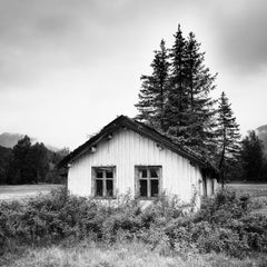 Alberi sul tetto, casa abbandonata, fotografia in bianco e nero, edizione limitata