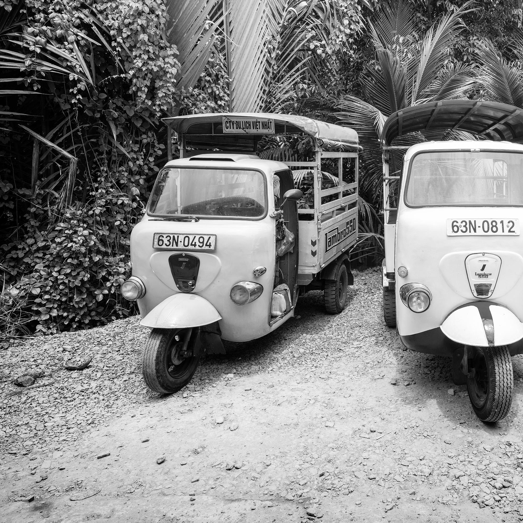 Tuk, Tuk, Jungle, Lambros 550, Vietnam, édition limitée de photographies de paysages en vente 5