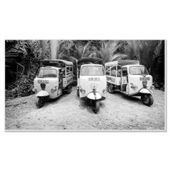 Tuk, Tuk, Jungle, Lambro 550, Vietnam, limited edition landscape photography